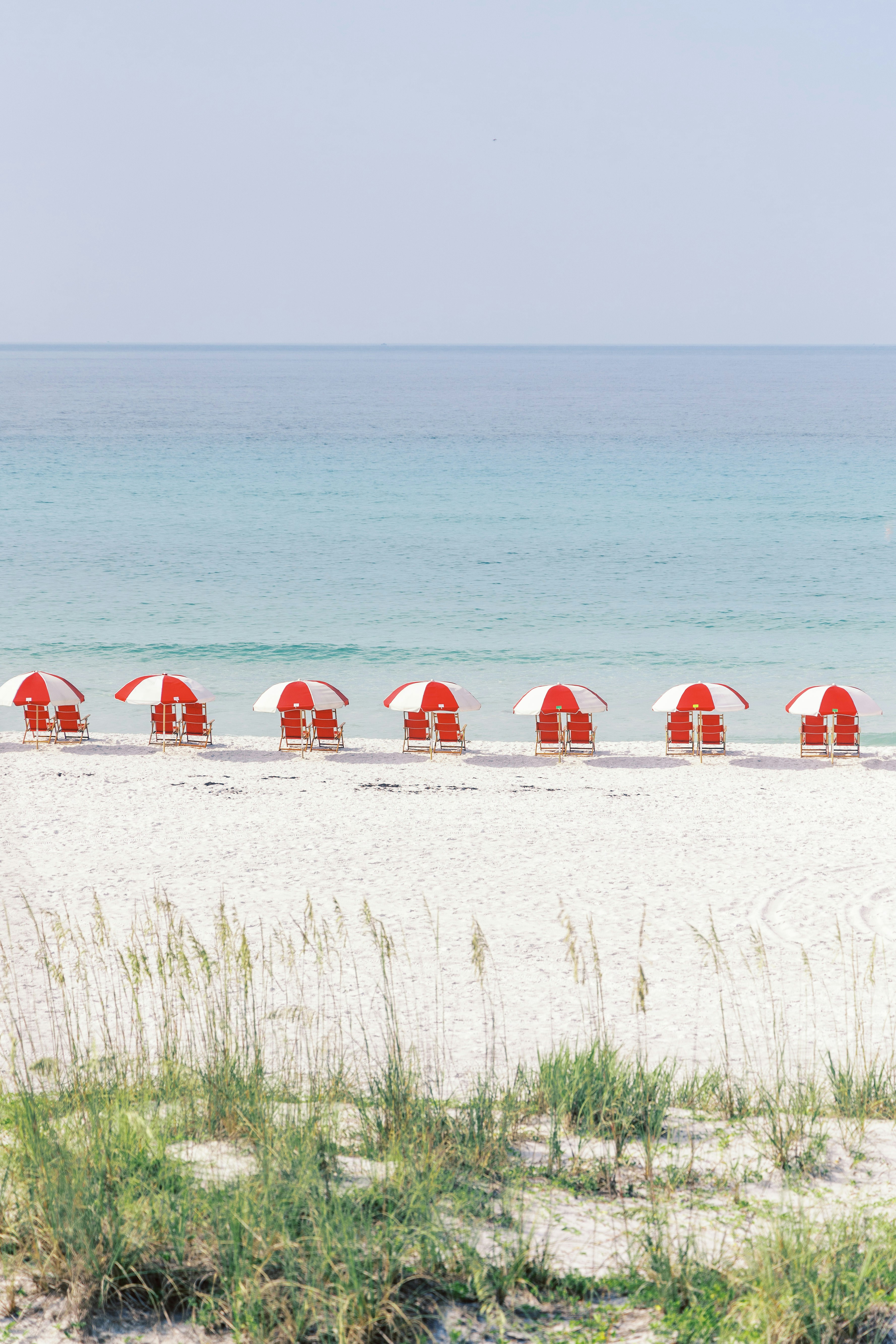 red and white tent on green grass field near sea during daytime
