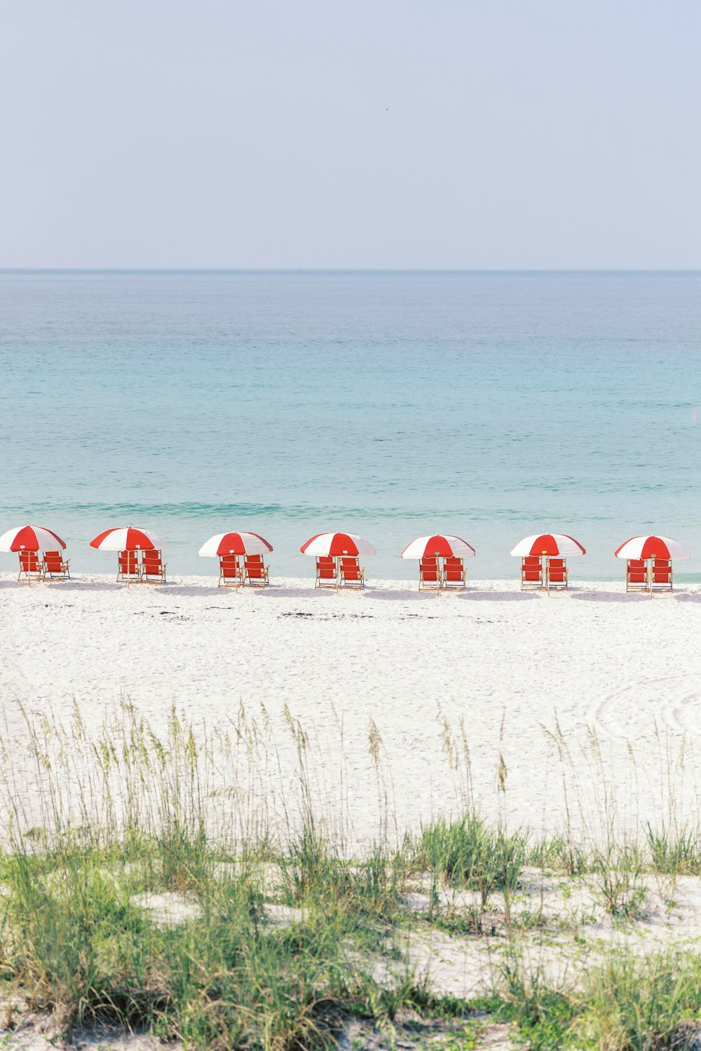 red and white tent on green grass field near sea during daytime