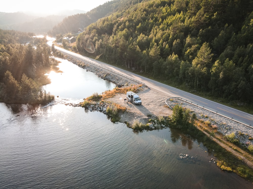 arbres verts au bord de la rivière pendant la journée