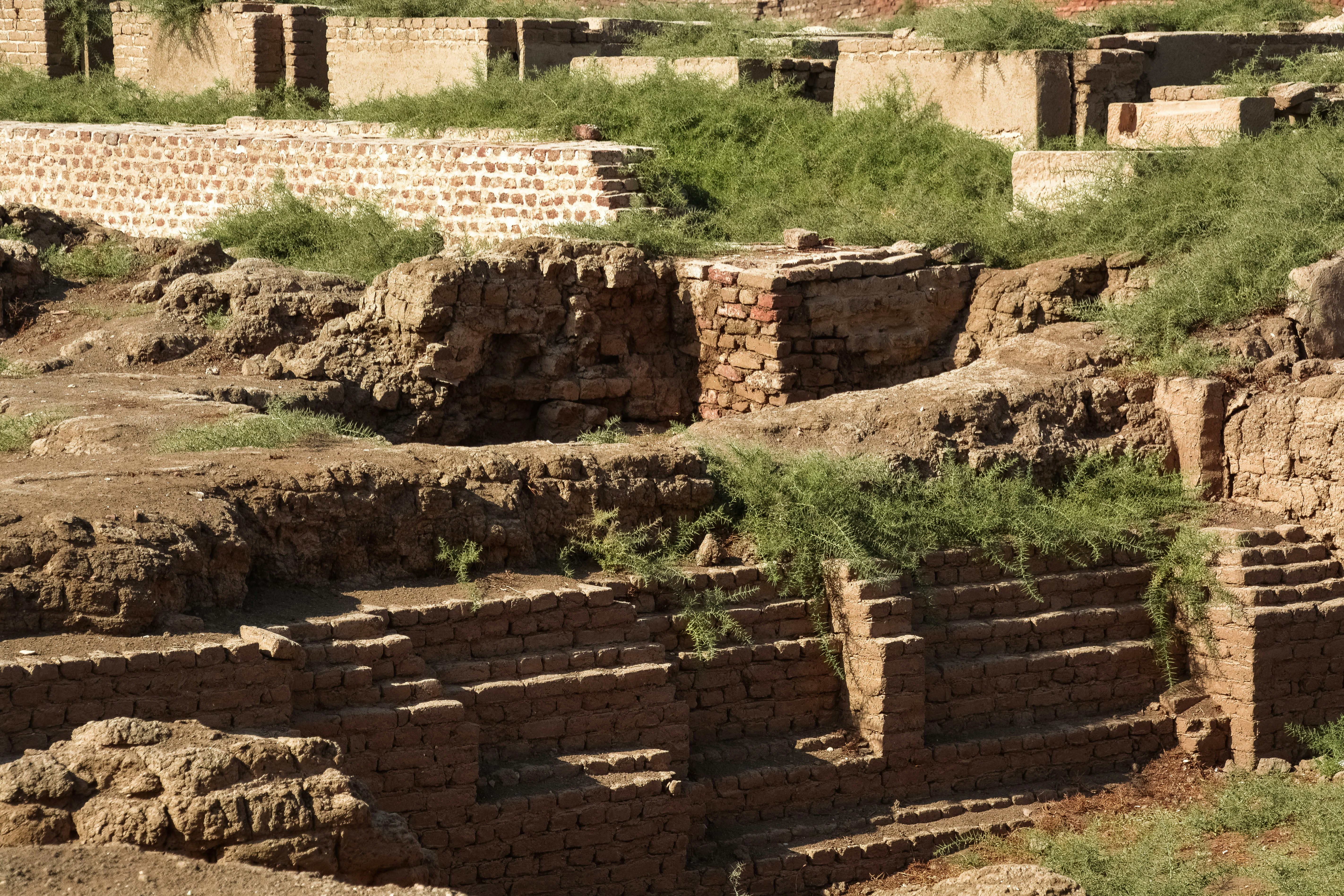 brown brick wall near green grass field during daytime