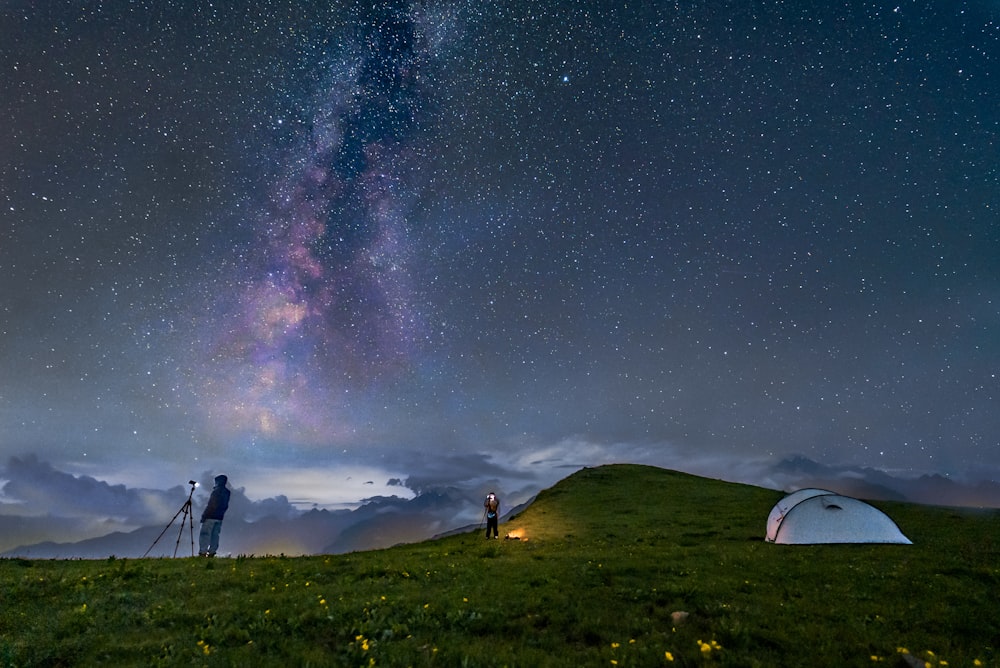 green grass field under starry night