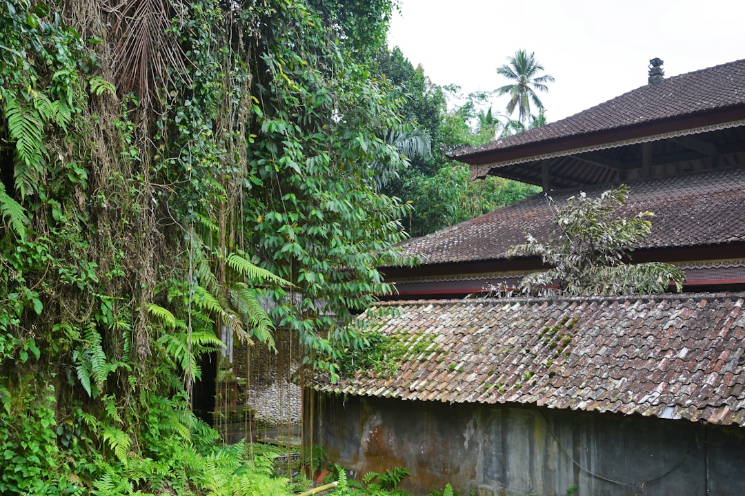 brown and gray house near green trees during daytime