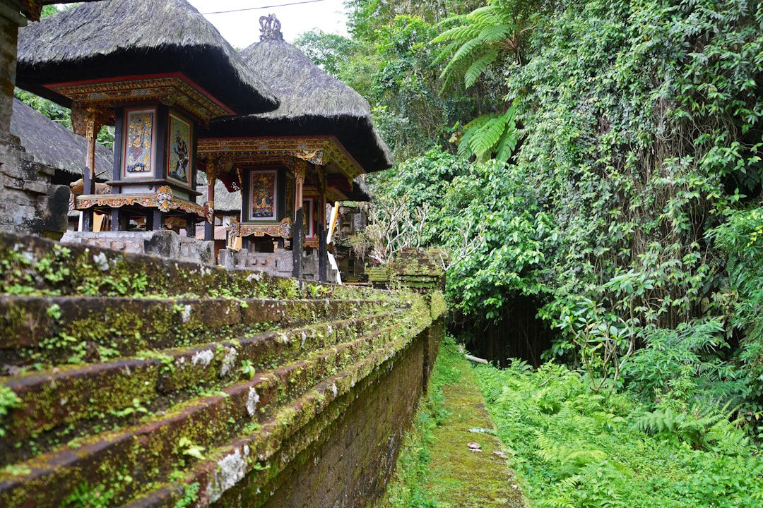 brown wooden house in the middle of green grass field