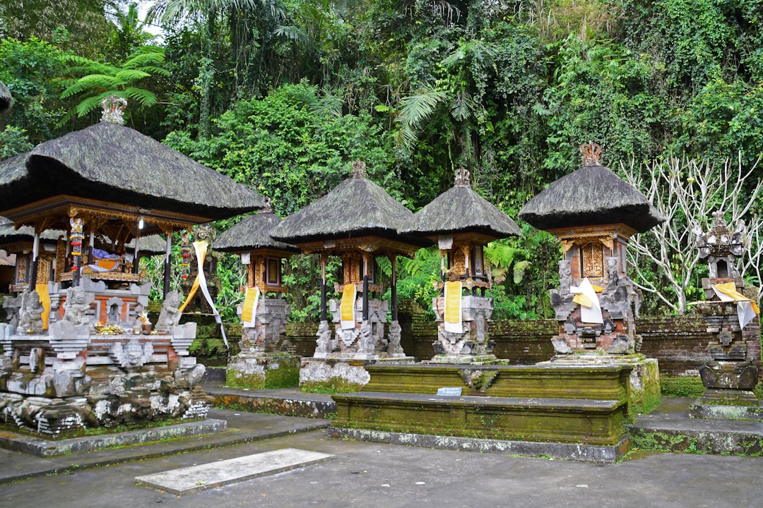 brown and beige wooden gazebo near green trees during daytime