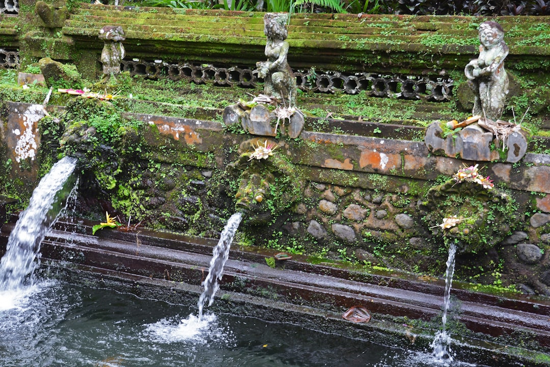 water fountain with green plants