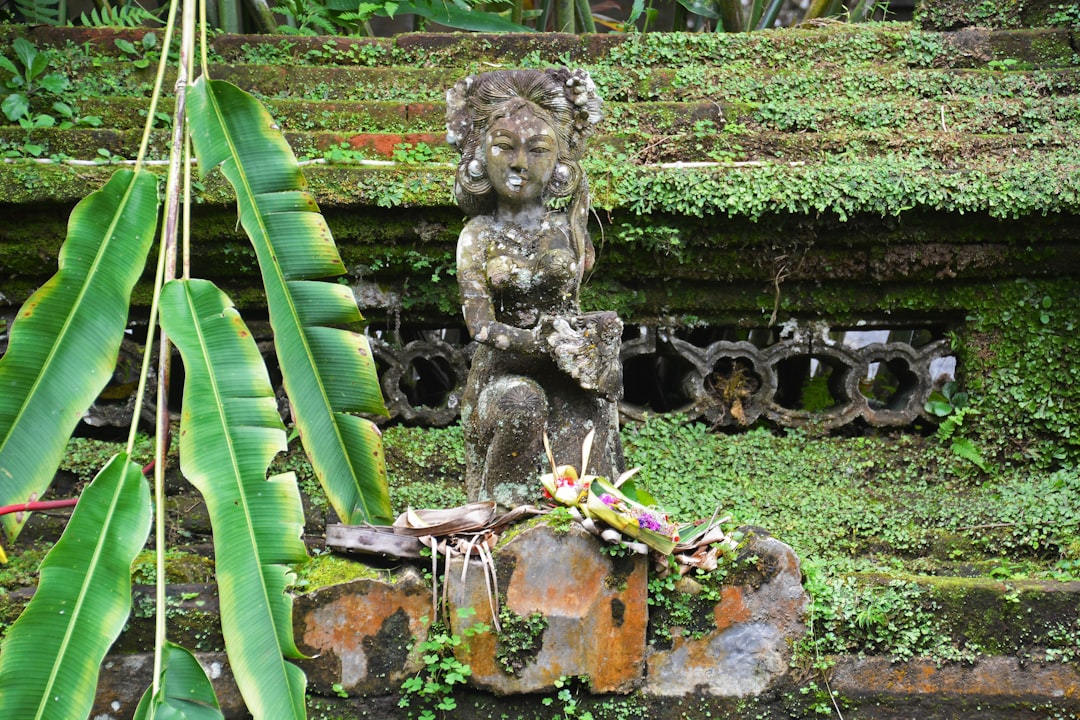 gray bear statue beside green palm tree during daytime