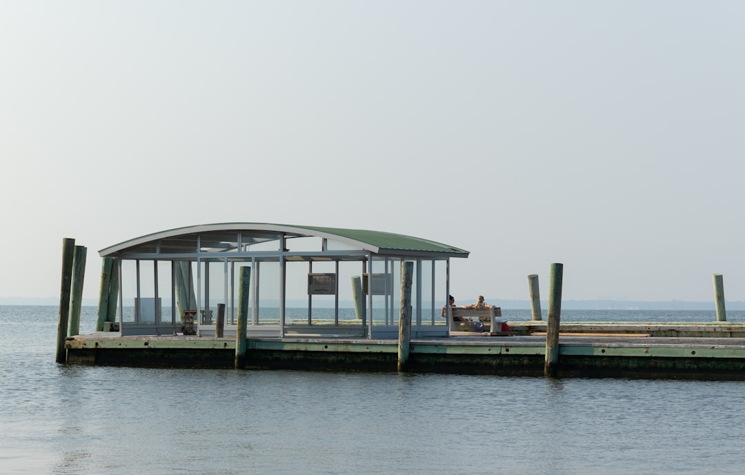 white and green wooden dock on body of water during daytime