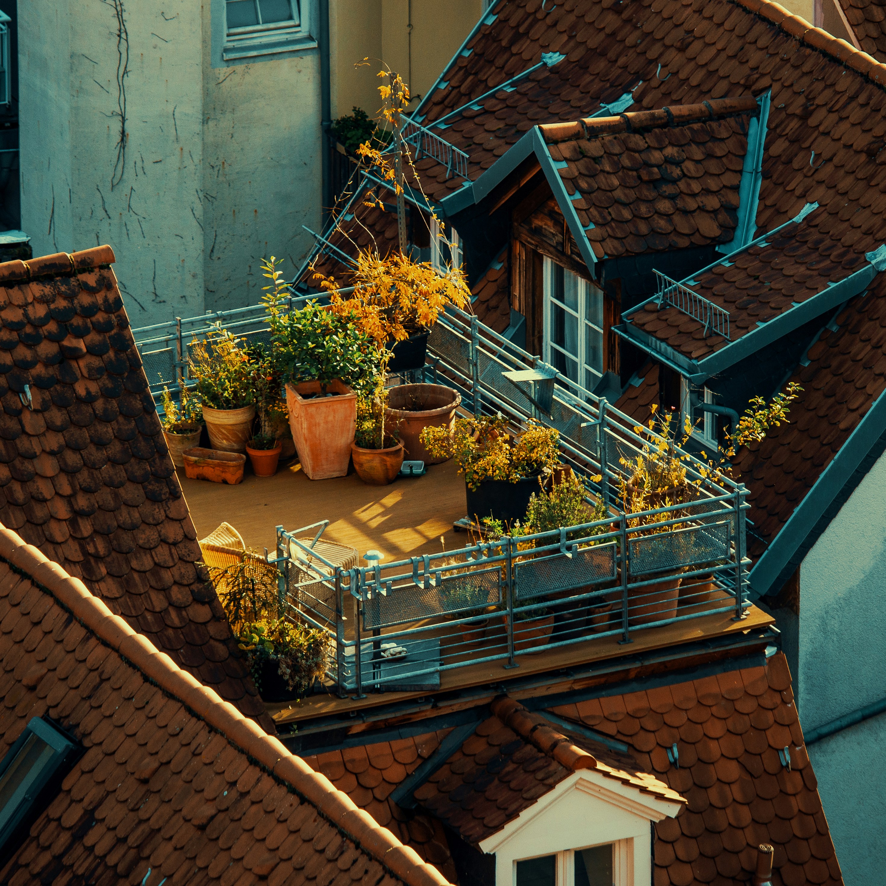 brown roof tiles on roof