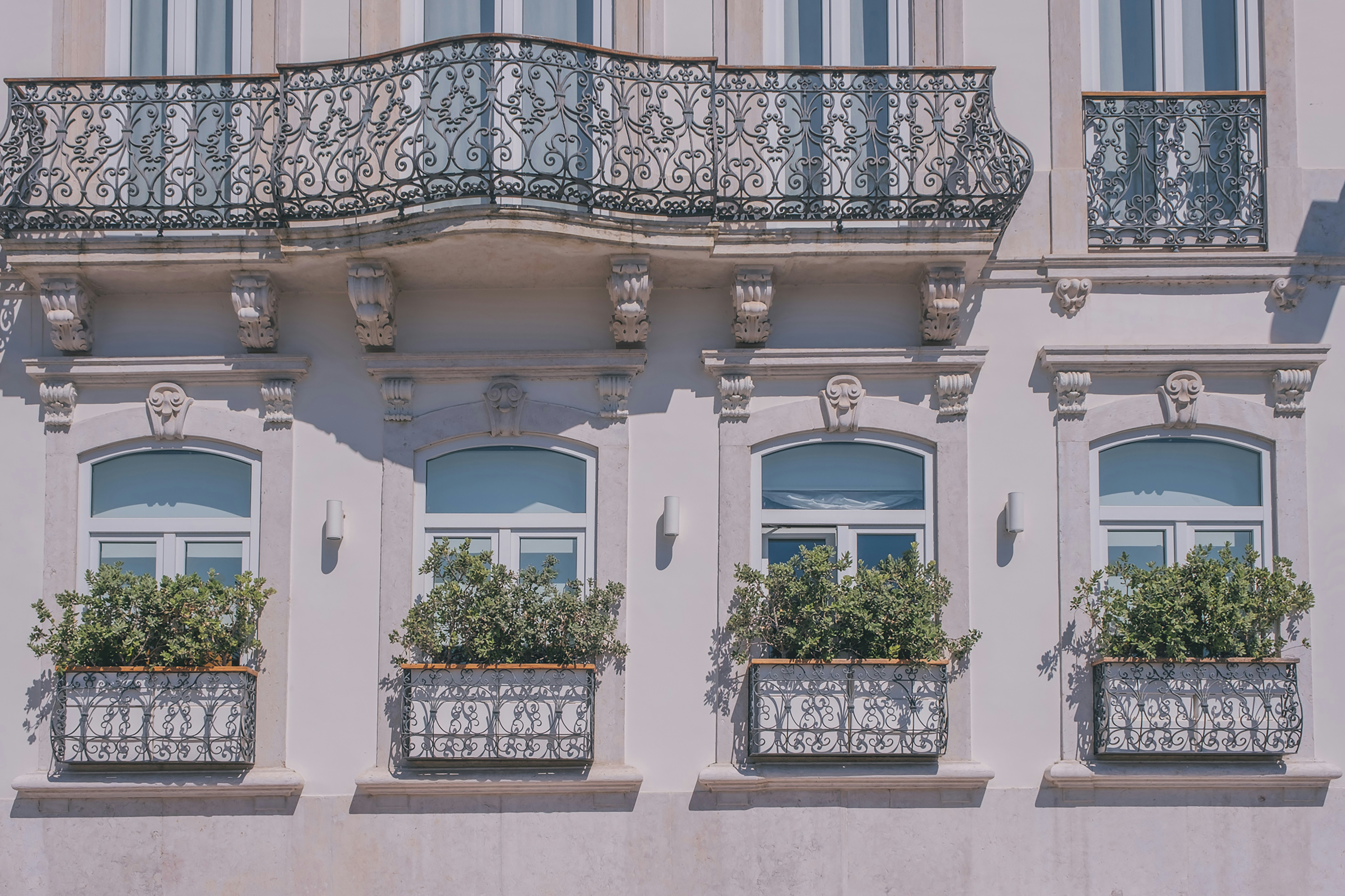 Photo by freguesiadeestrela