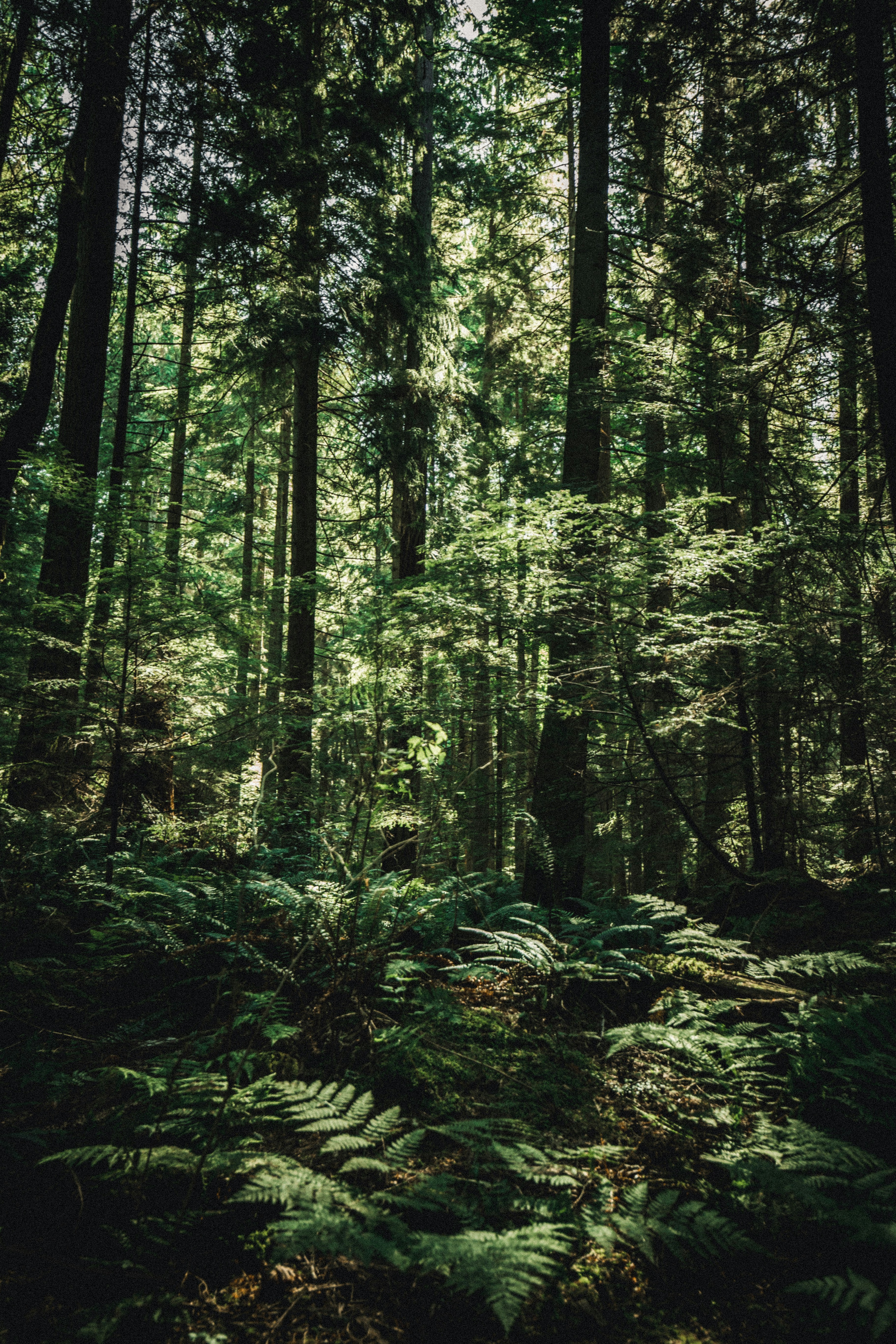 Photo by visualsbyroyalz