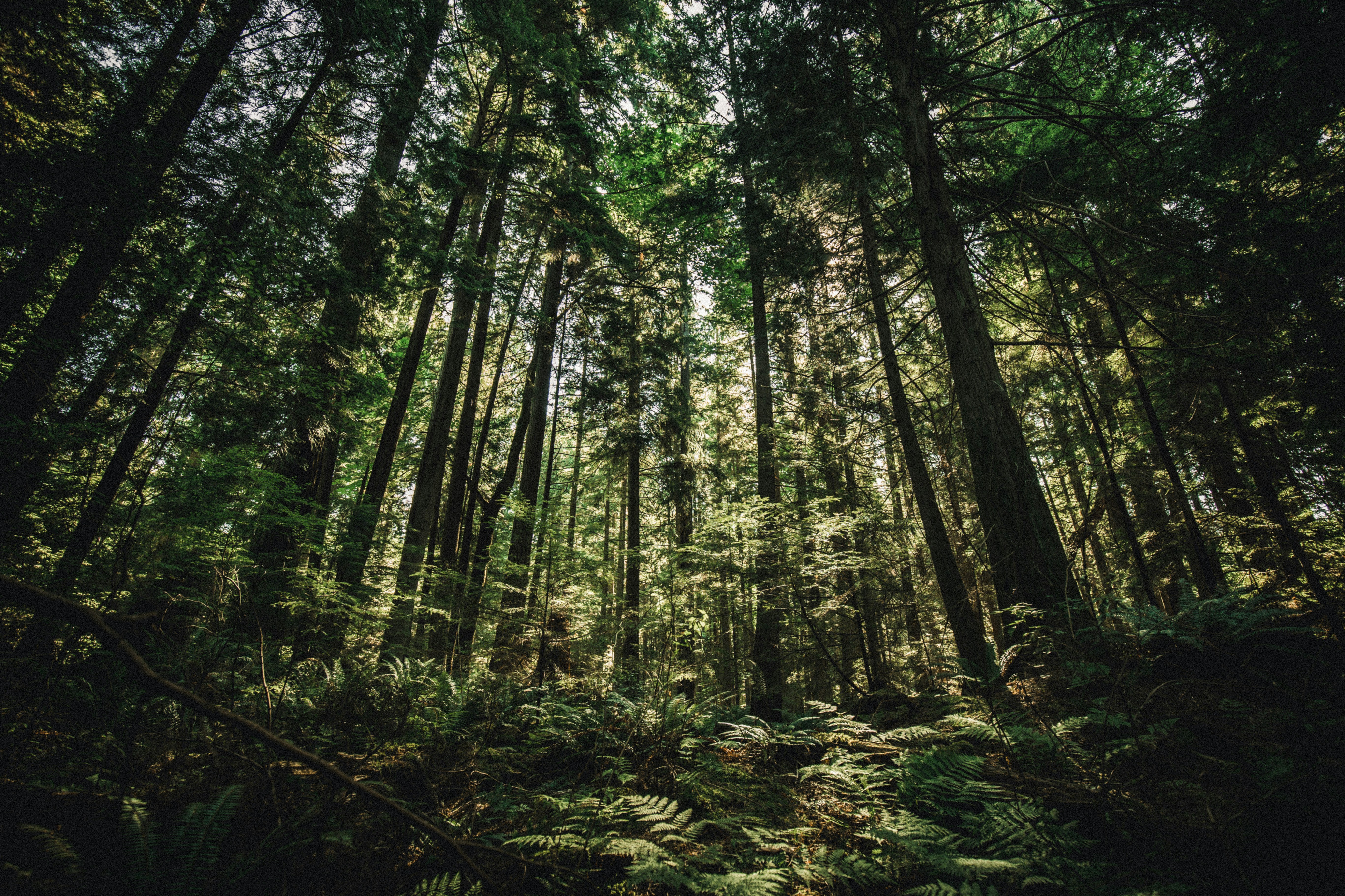 Photo by visualsbyroyalz