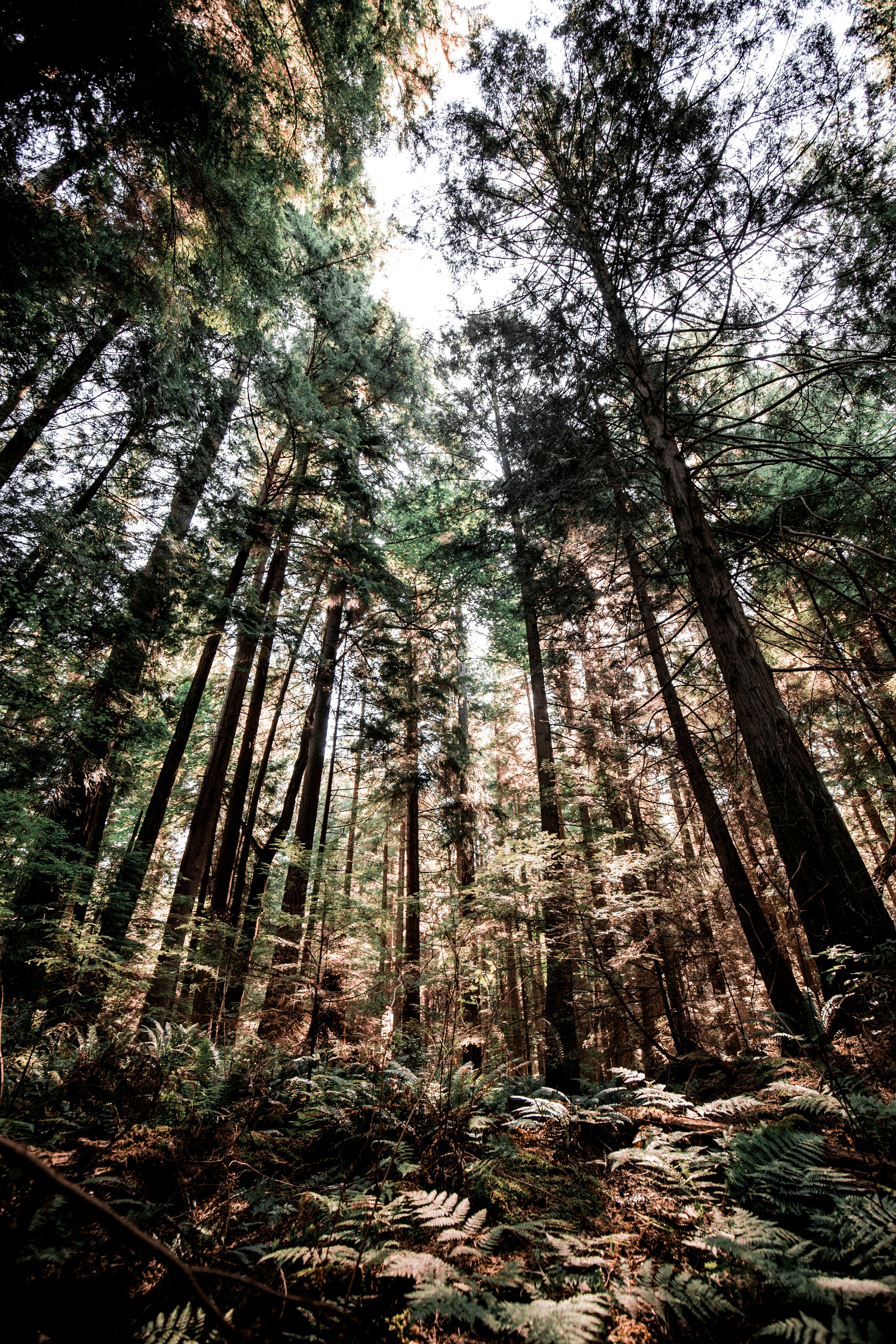 Photo by visualsbyroyalz