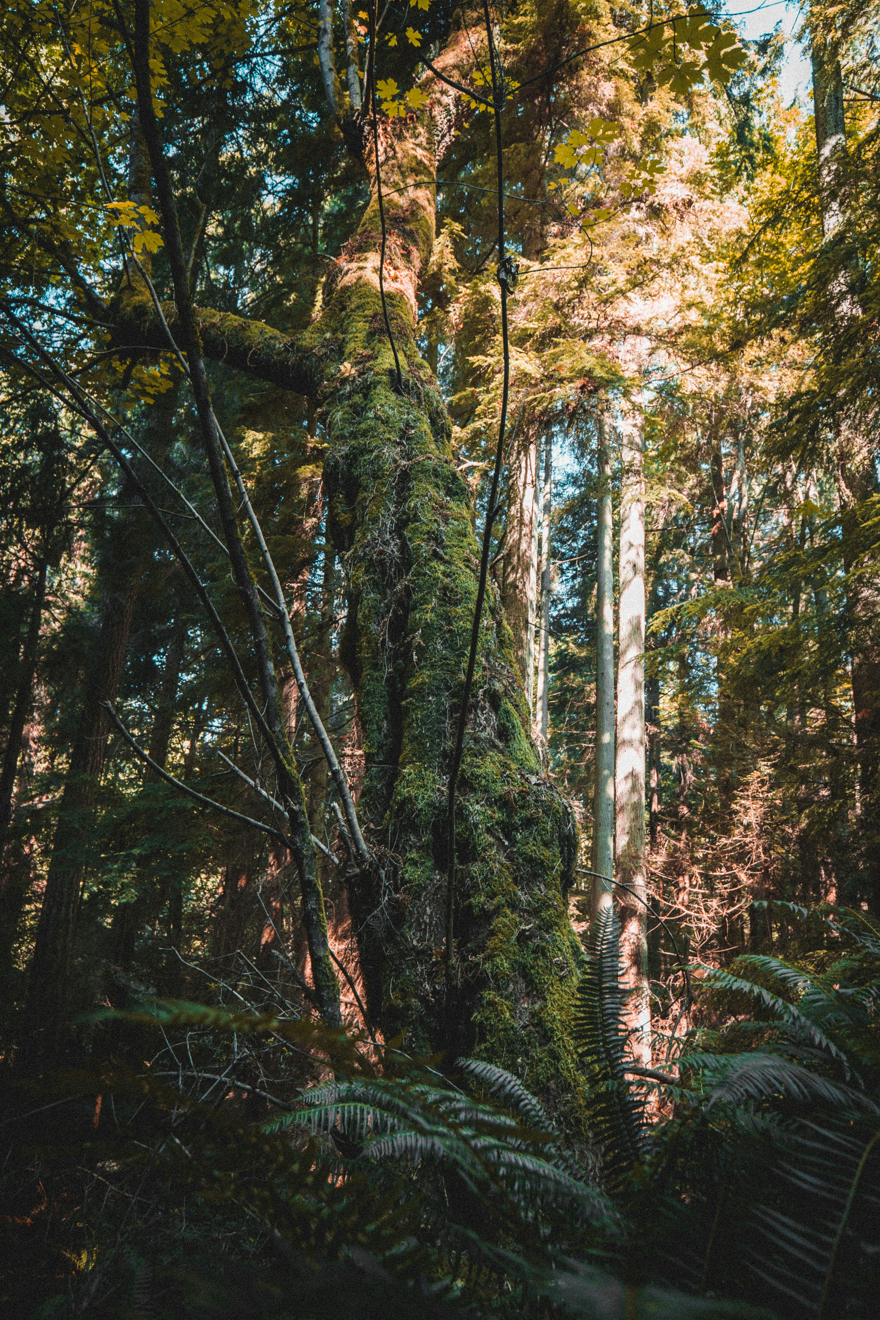 Photo by visualsbyroyalz