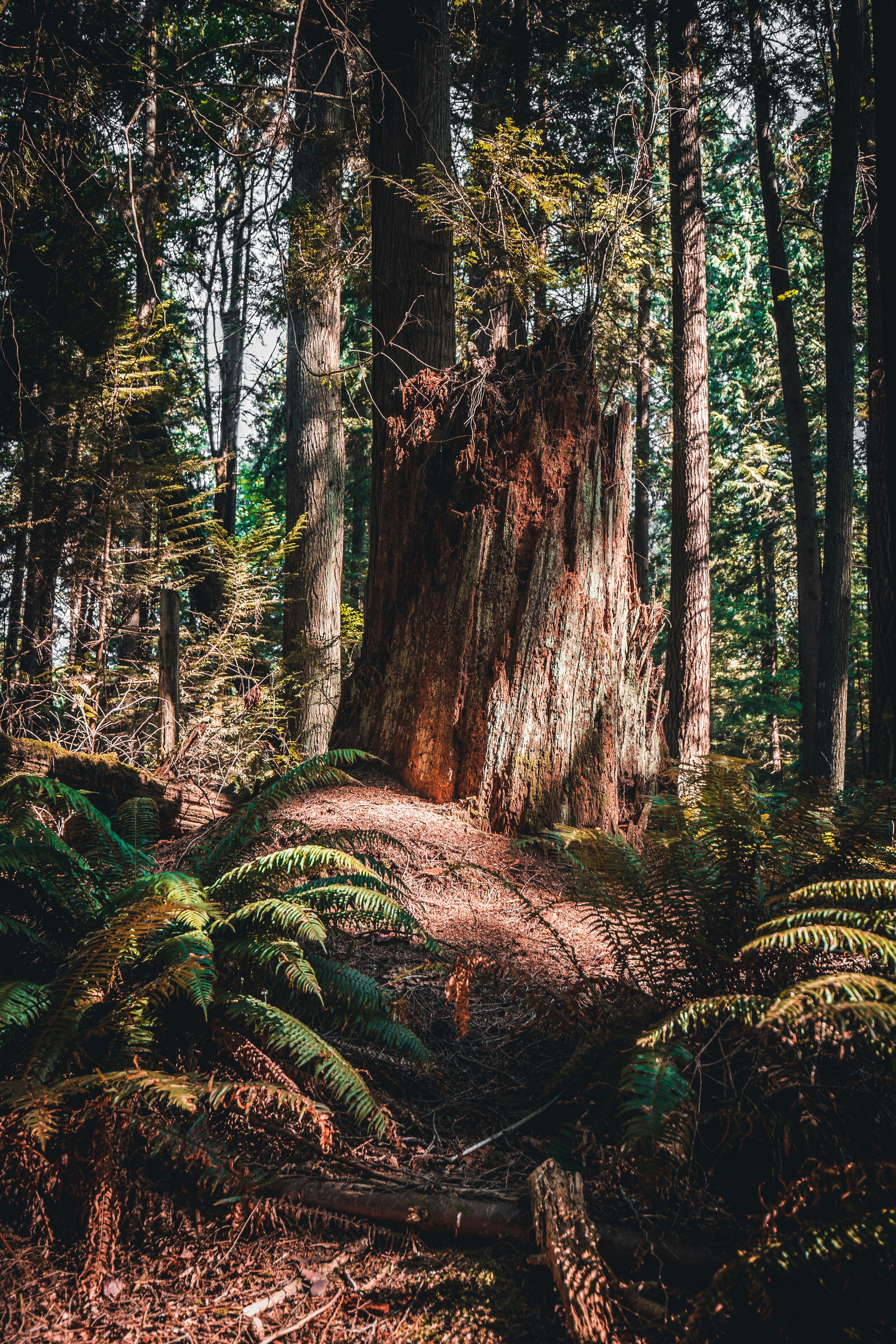 Photo by visualsbyroyalz