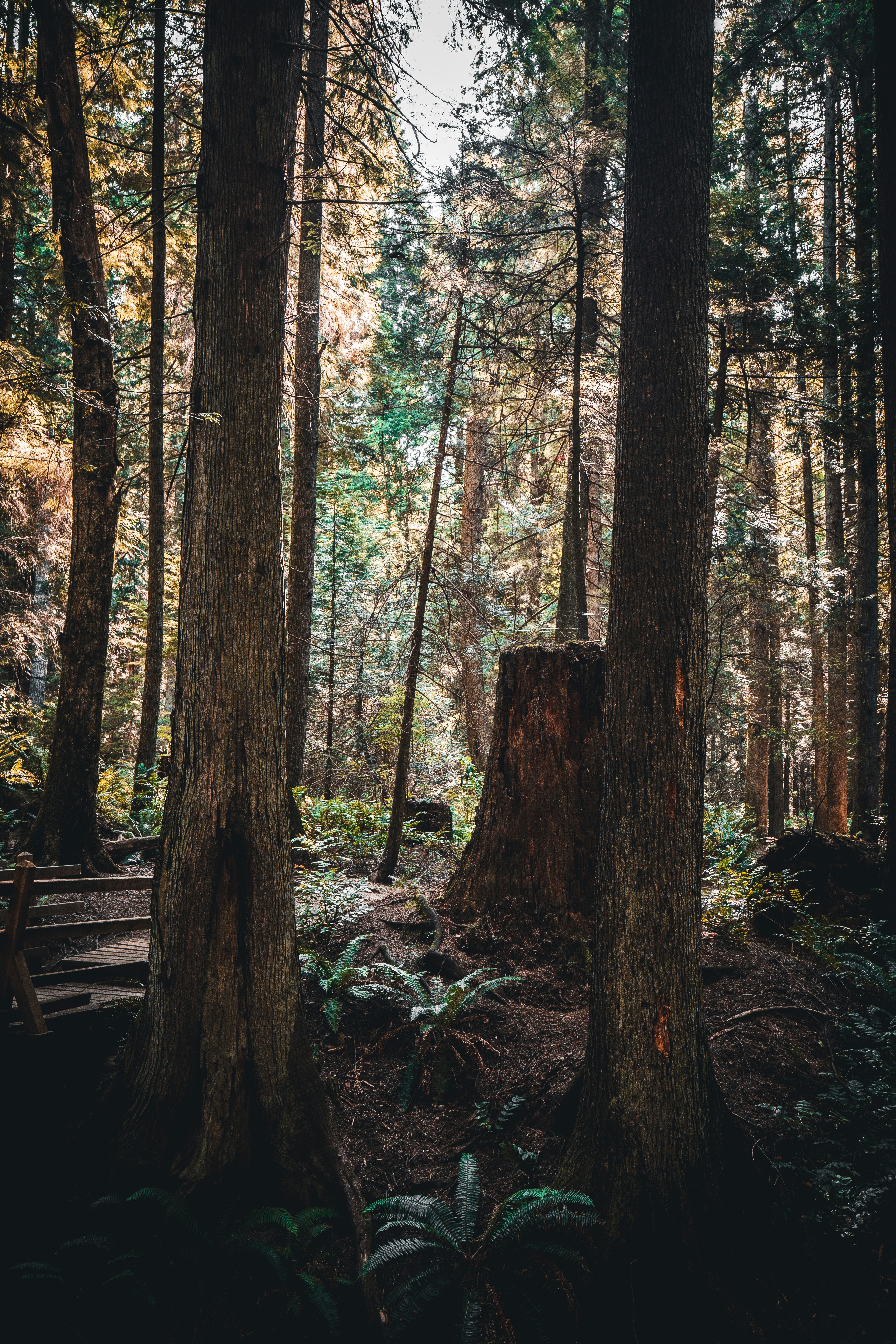 Photo by visualsbyroyalz