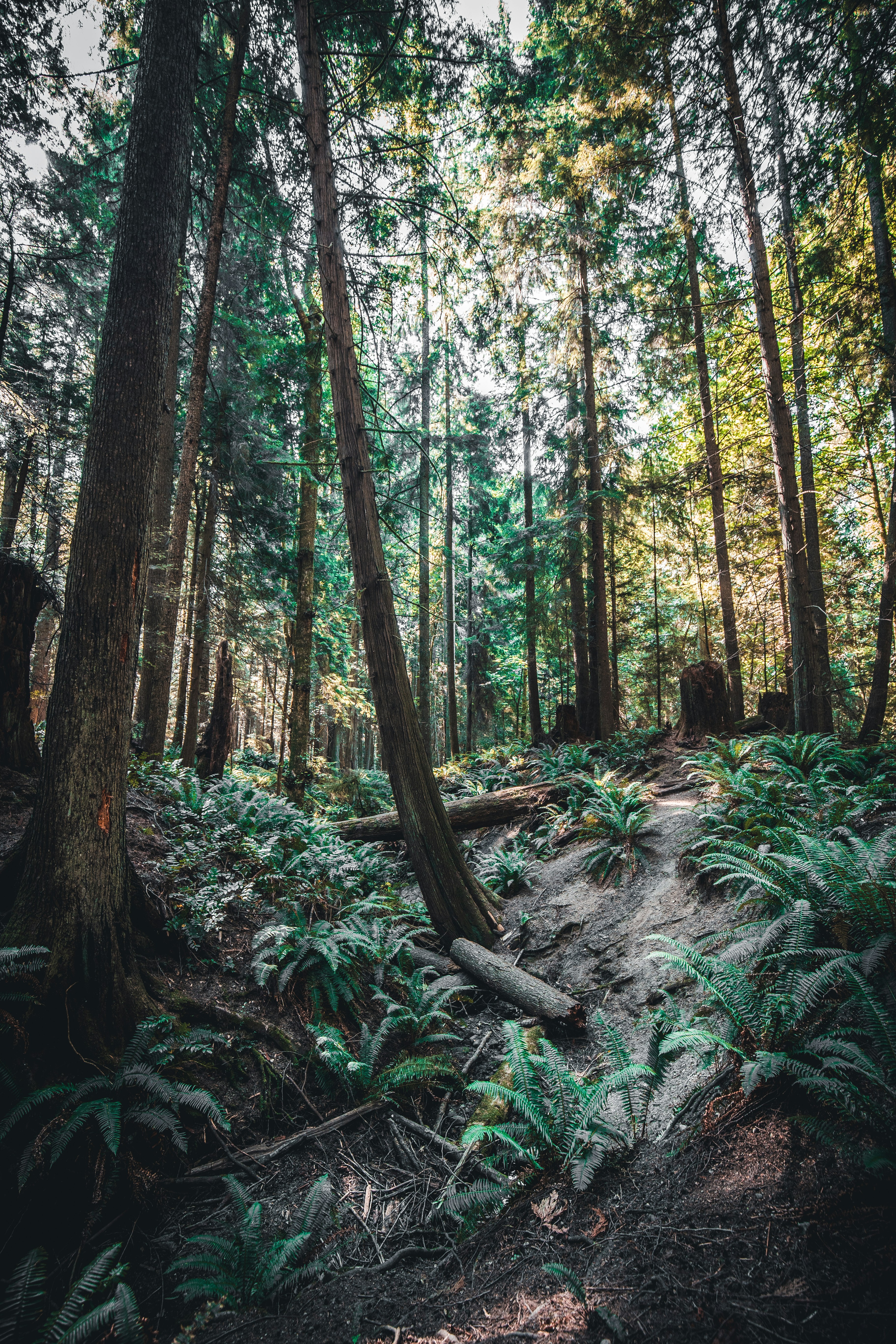 Photo by visualsbyroyalz