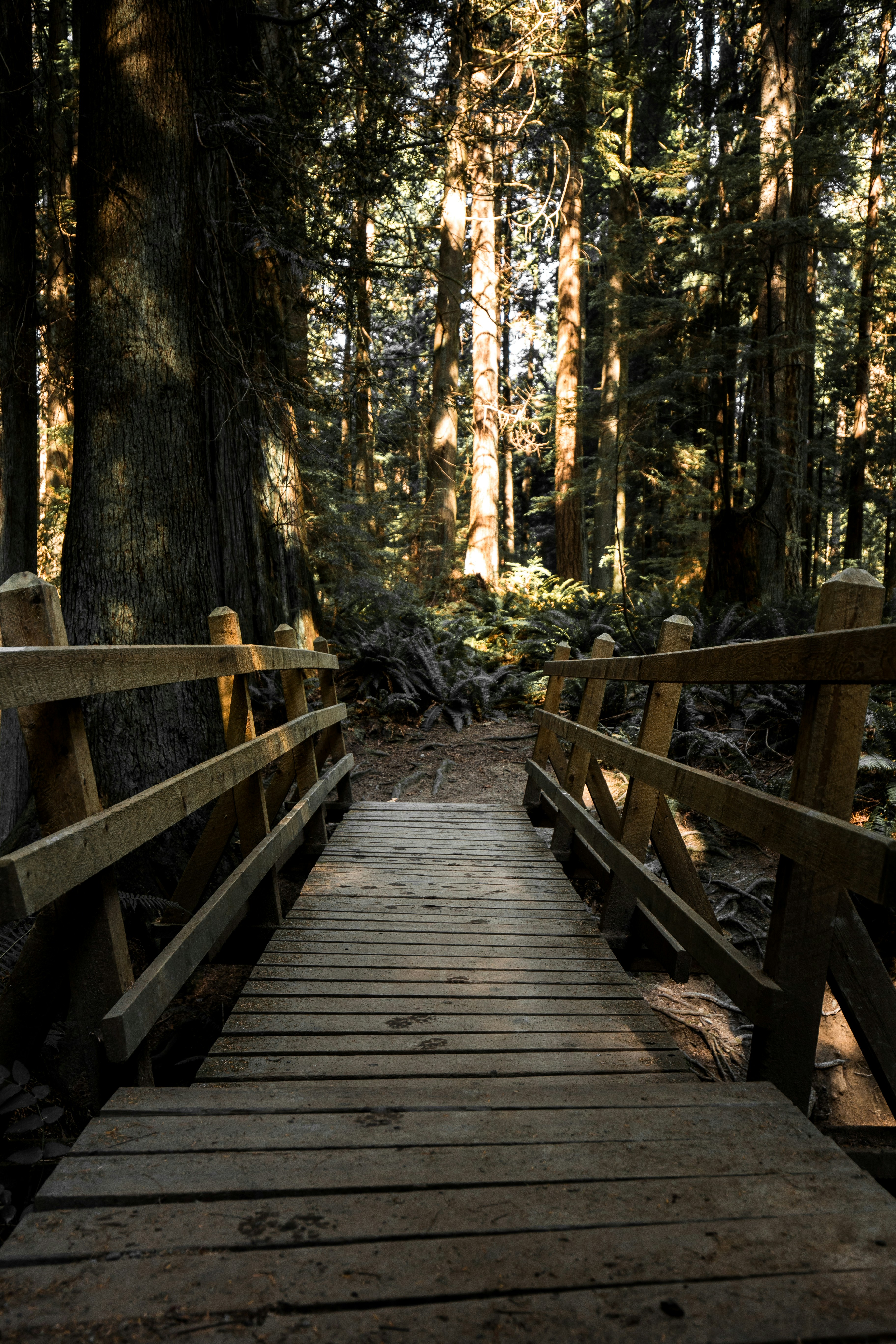 Photo by visualsbyroyalz