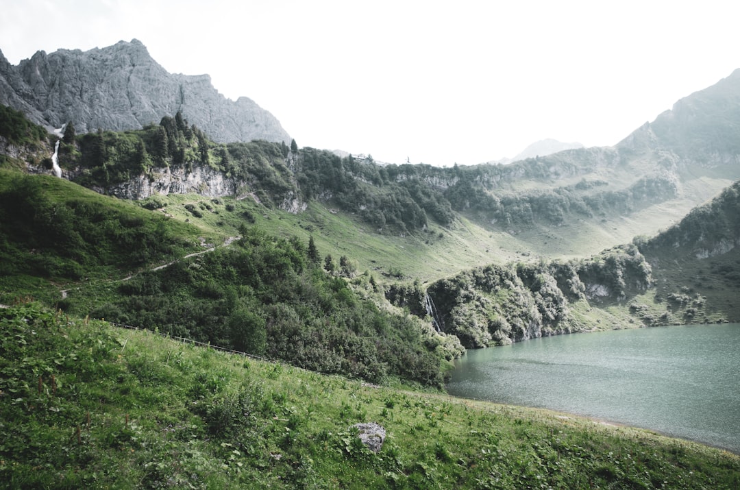 Forest photo spot Traualpsee Innsbruck