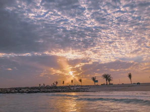 Golden sunset over a palm-lined beach with gentle waves lapping the shore