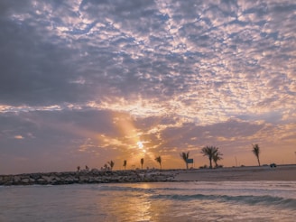 Sunset over a palm-lined beach with gentle ocean waves