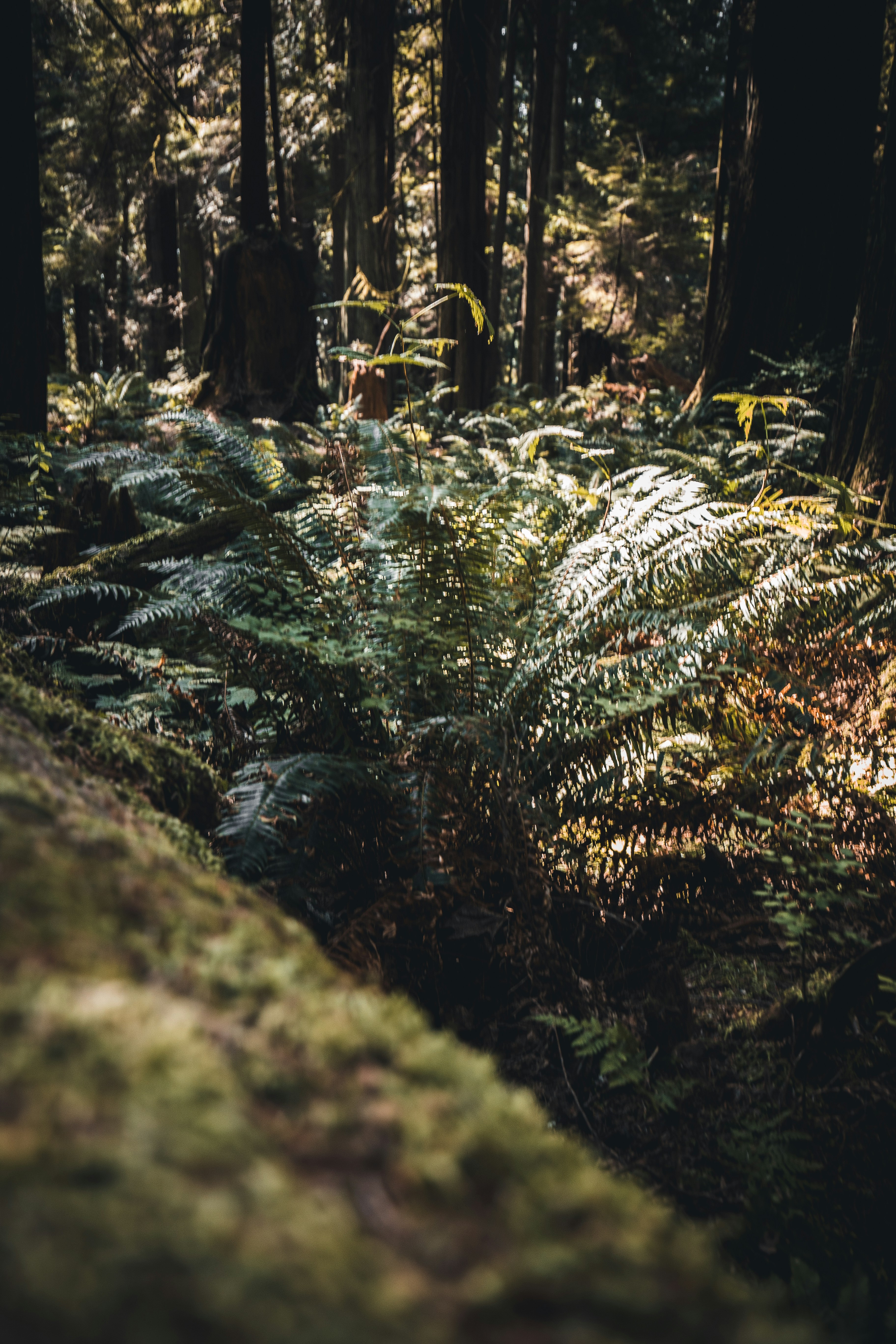 Photo by visualsbyroyalz