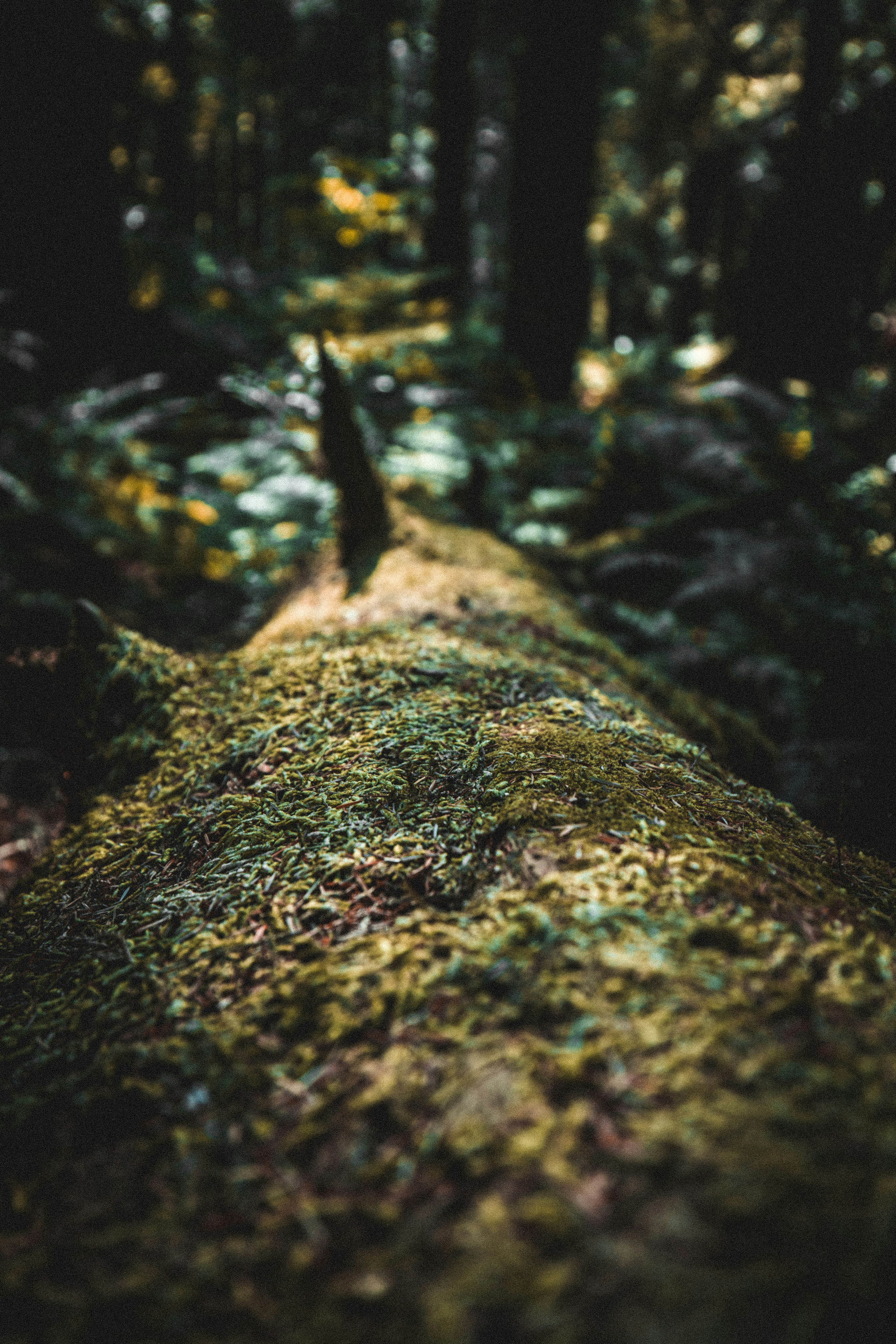 Photo by visualsbyroyalz