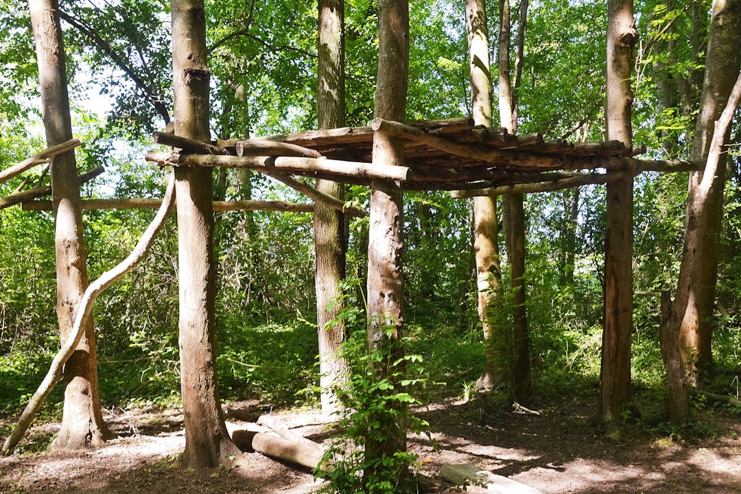 brown wooden fence in forest during daytime