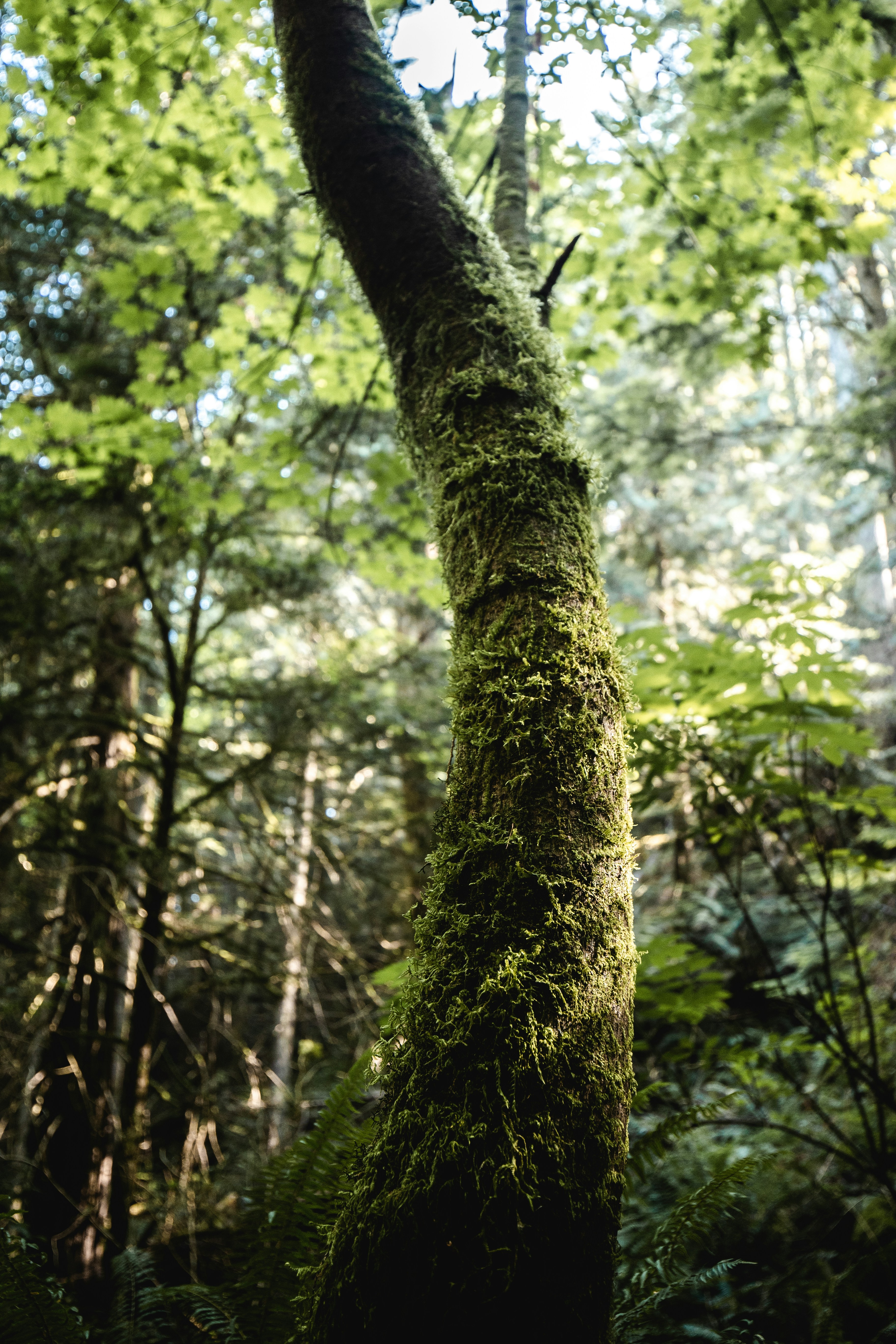 Photo by visualsbyroyalz