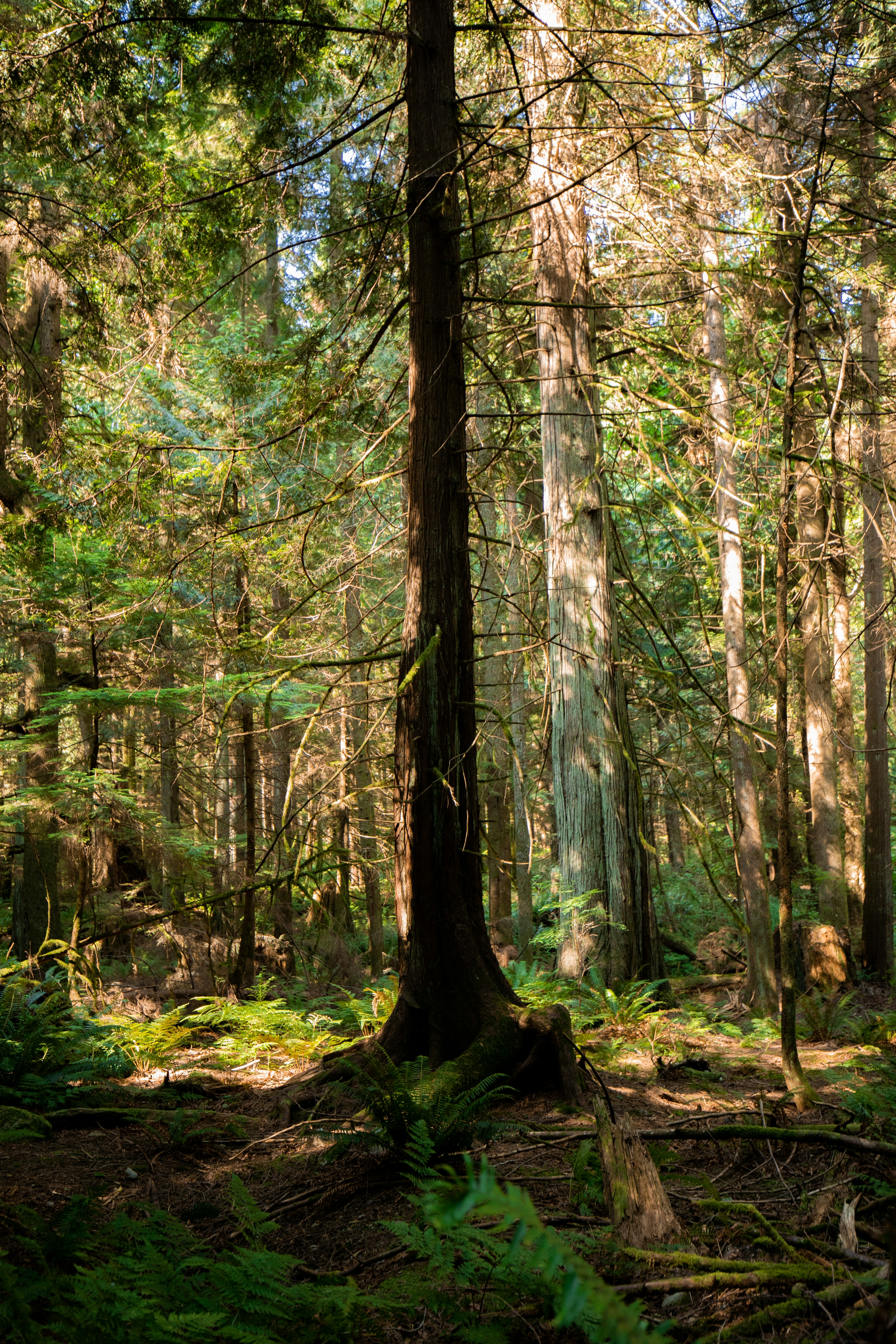 Photo by visualsbyroyalz