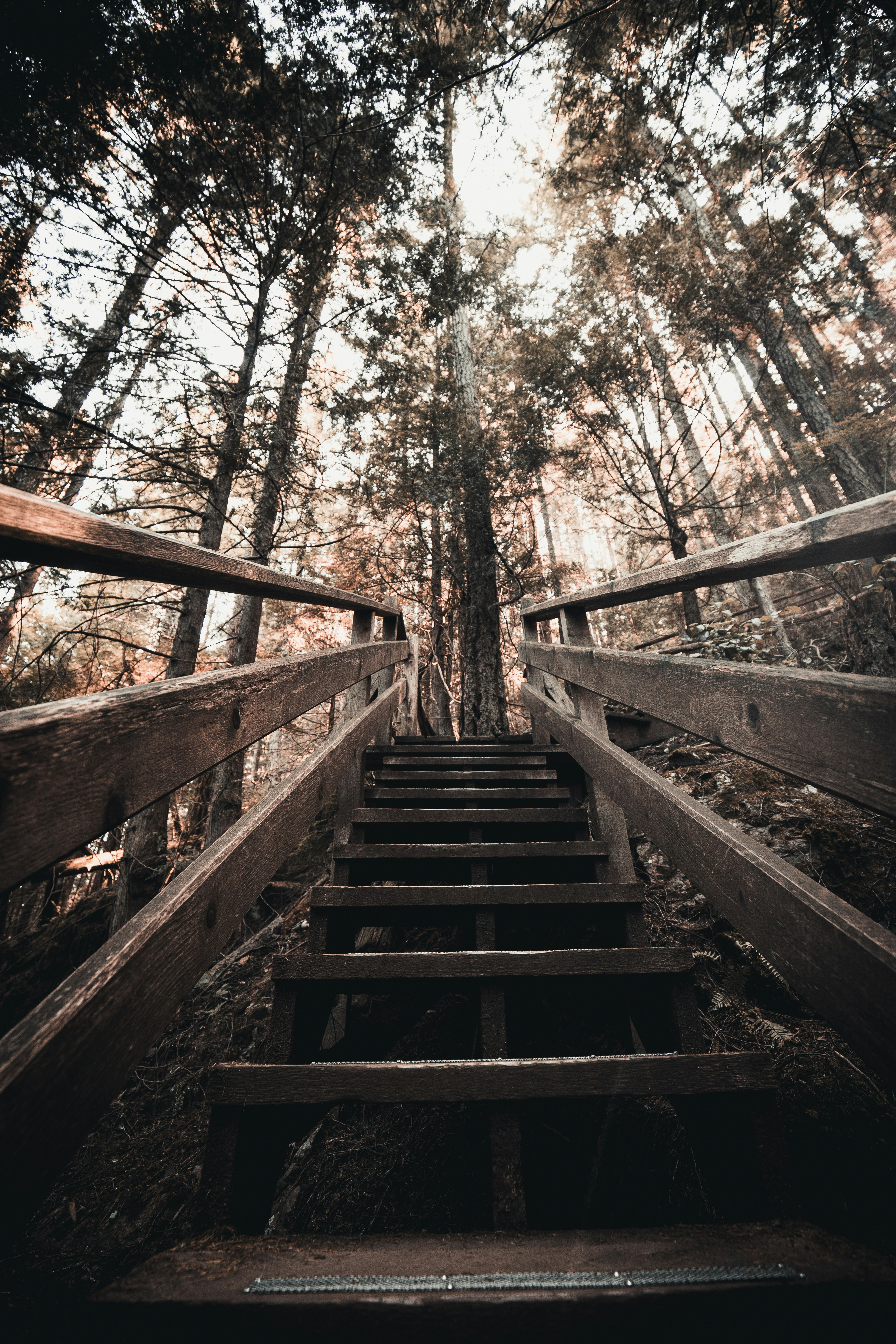 Photo by visualsbyroyalz