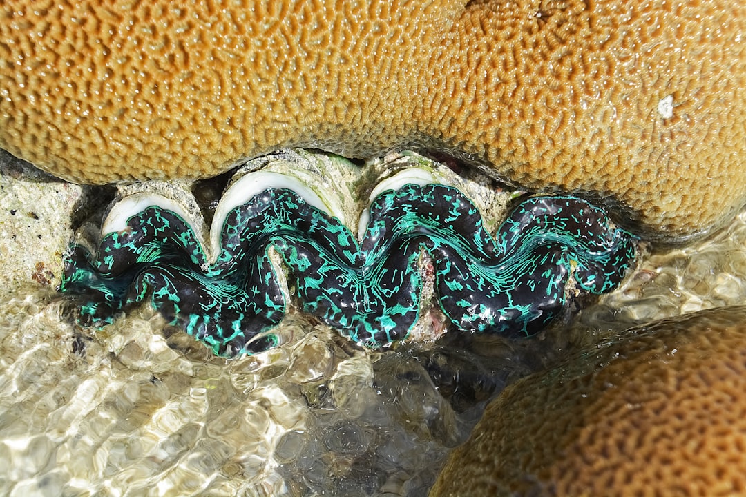 green and black snake on brown textile