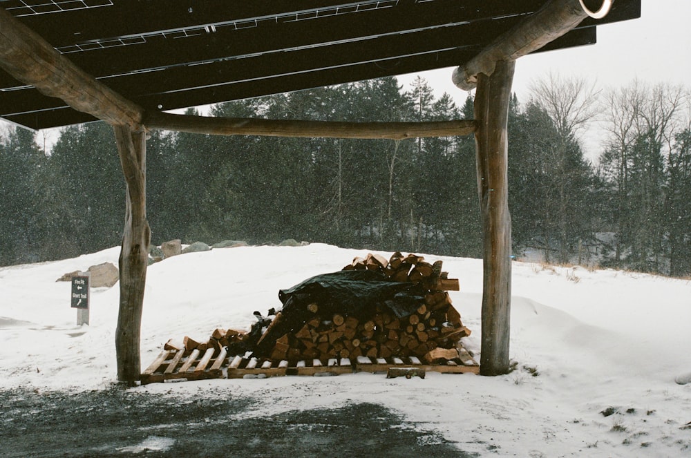 brown wood logs on snow covered ground