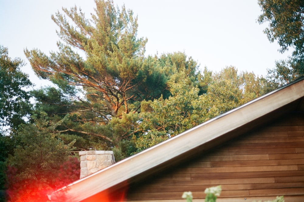 green trees beside brown wooden house during daytime