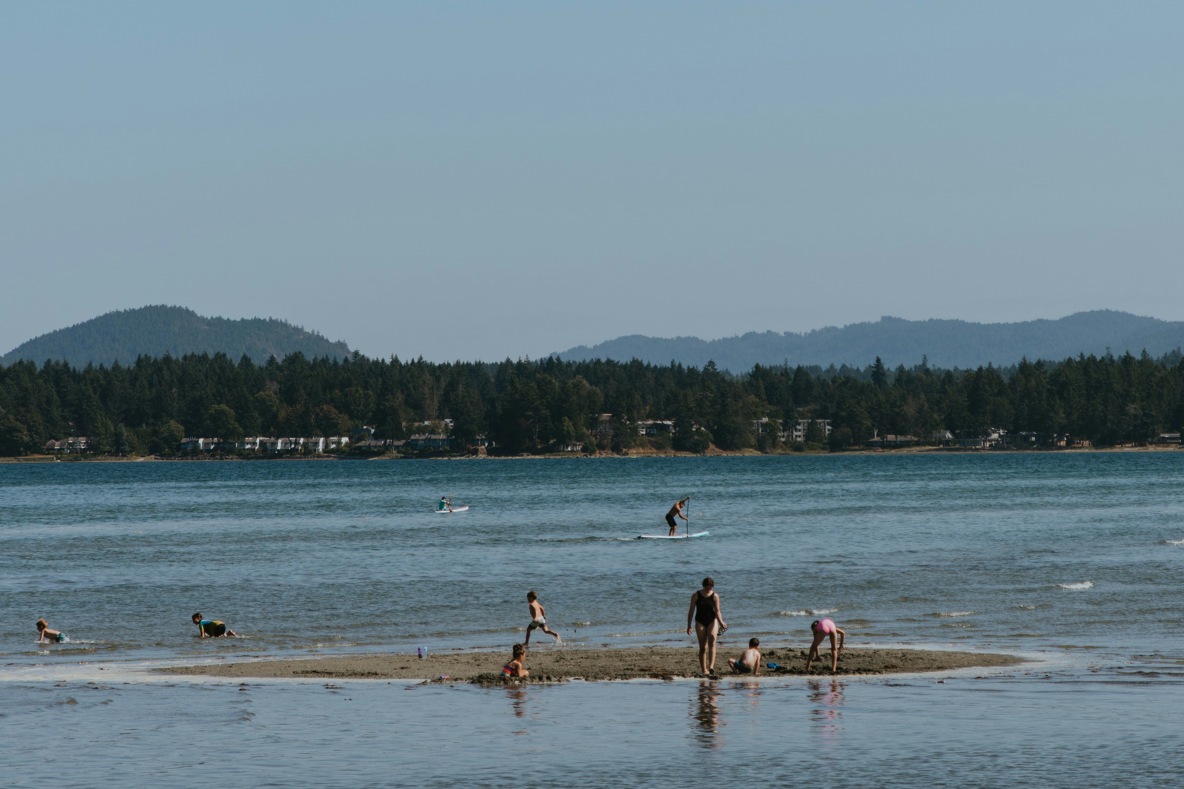 people on beach during daytime