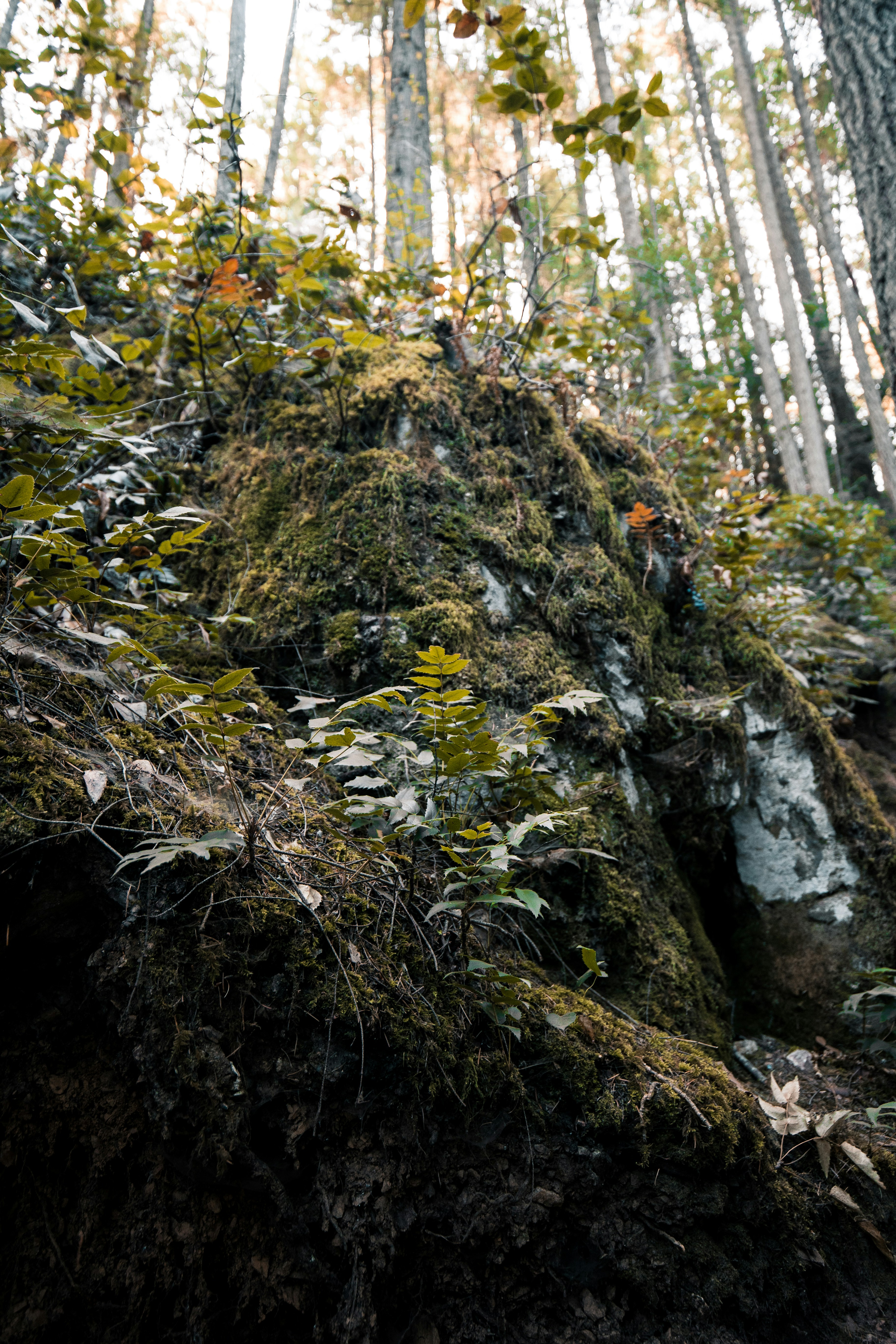 Photo by visualsbyroyalz