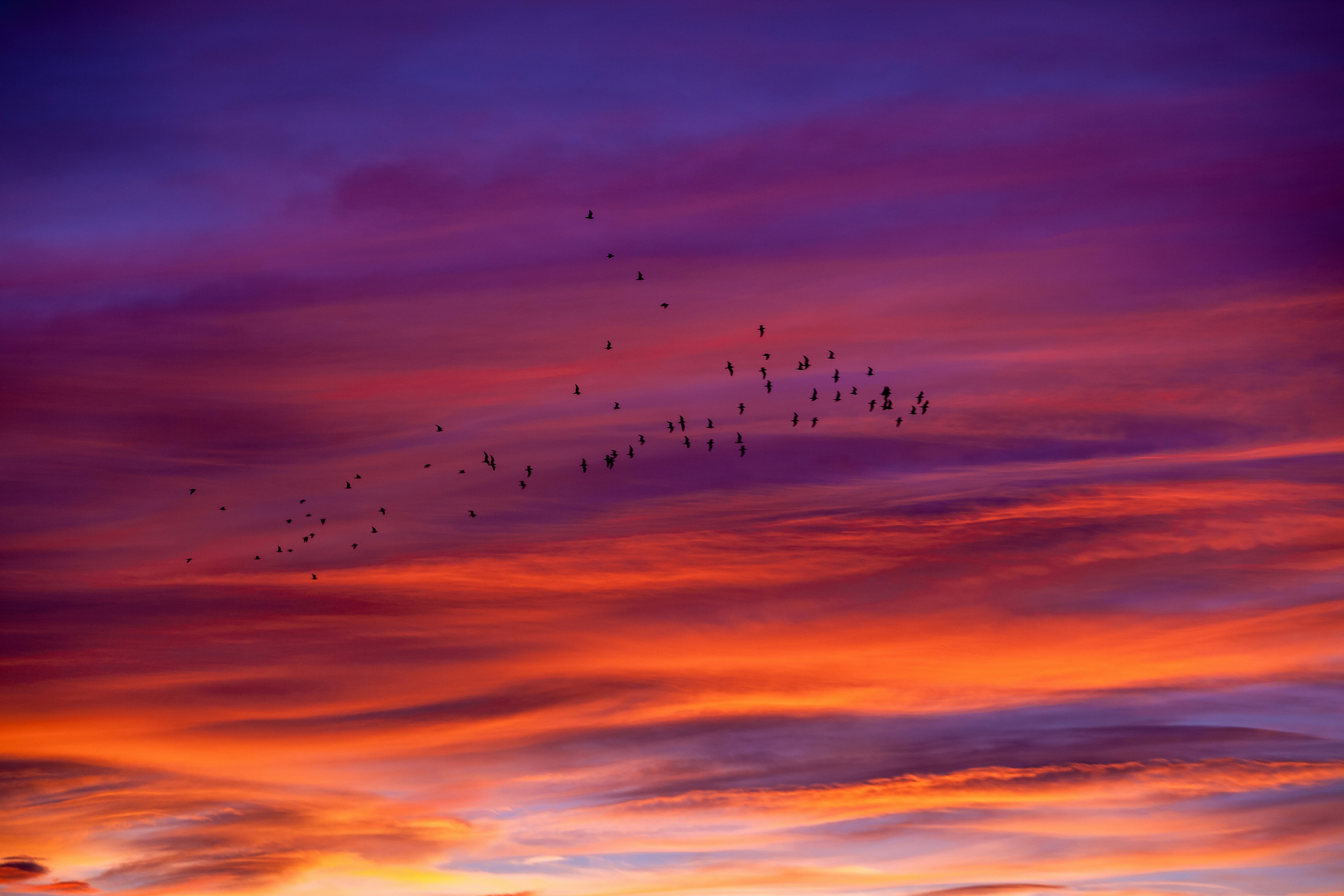 Photo by antoniorull