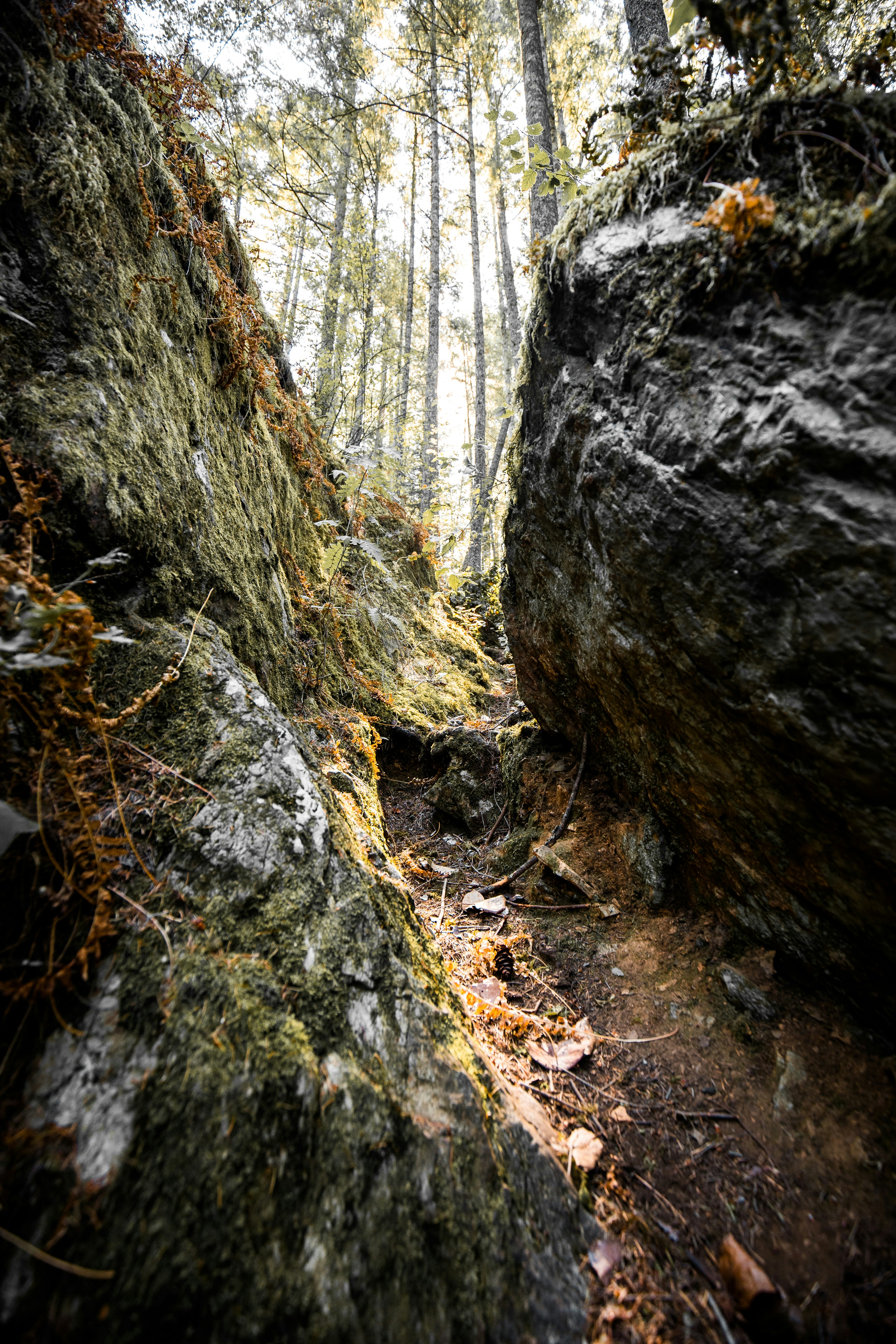 Photo by visualsbyroyalz