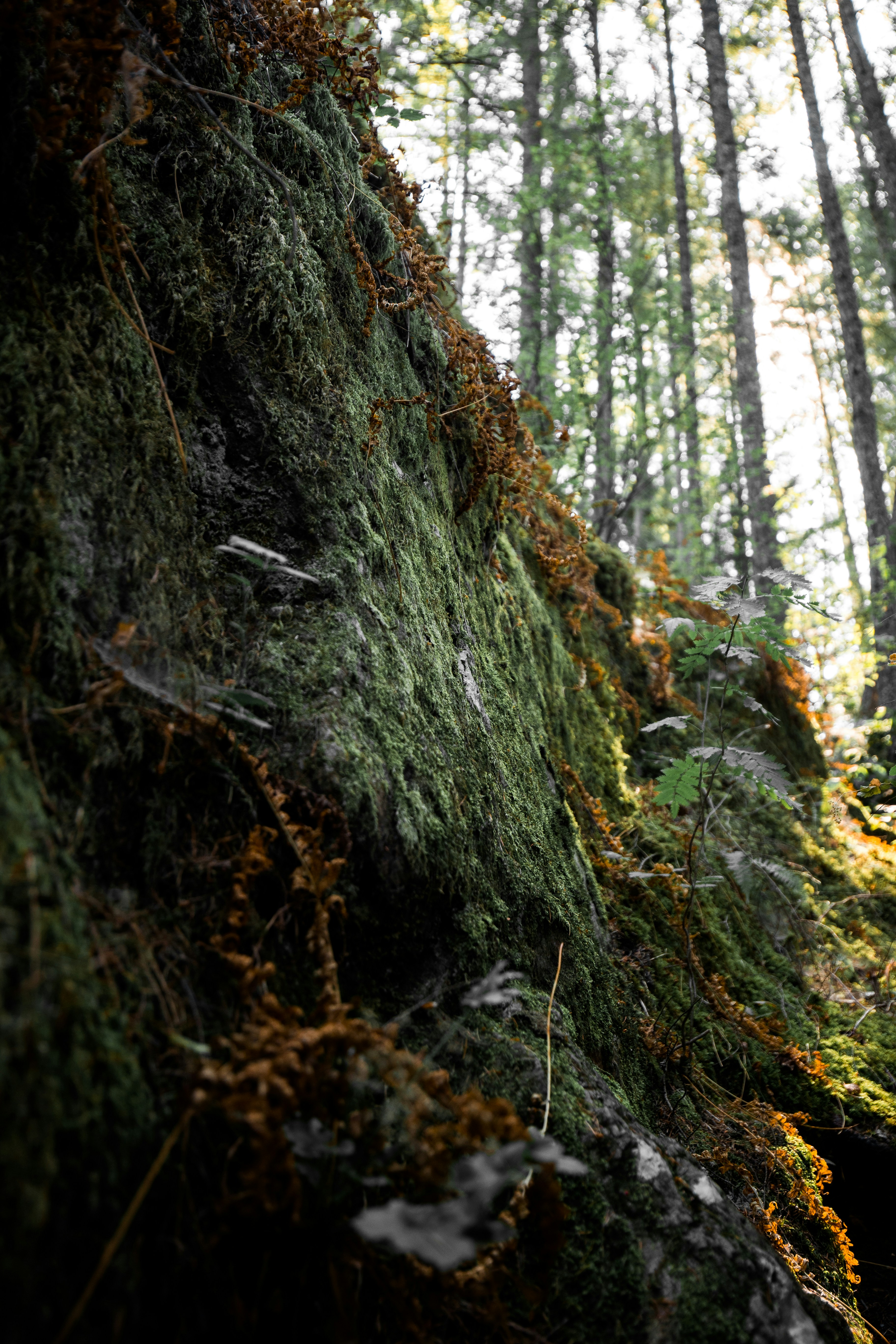 Photo by visualsbyroyalz