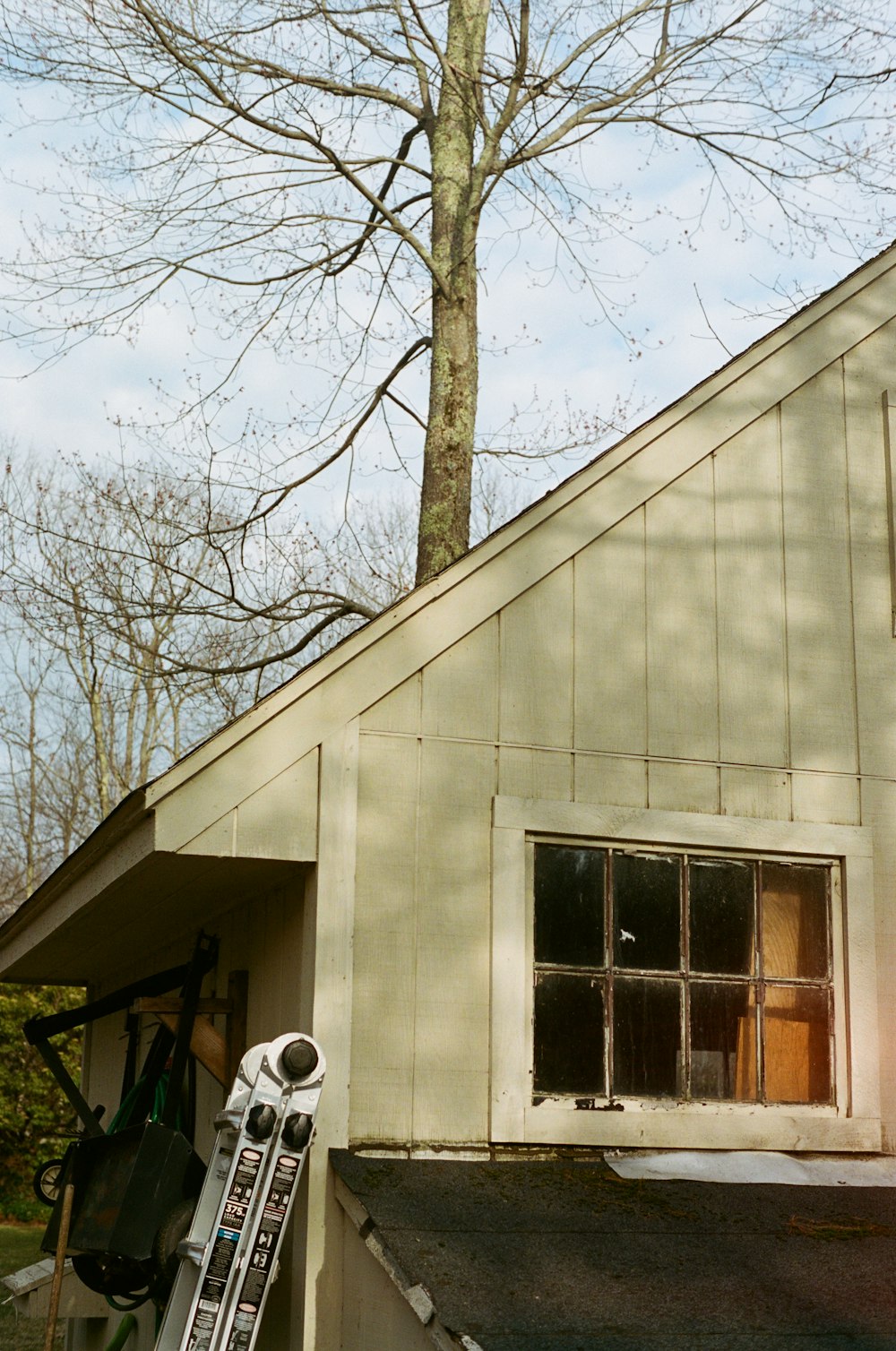 white concrete building near bare tree during daytime