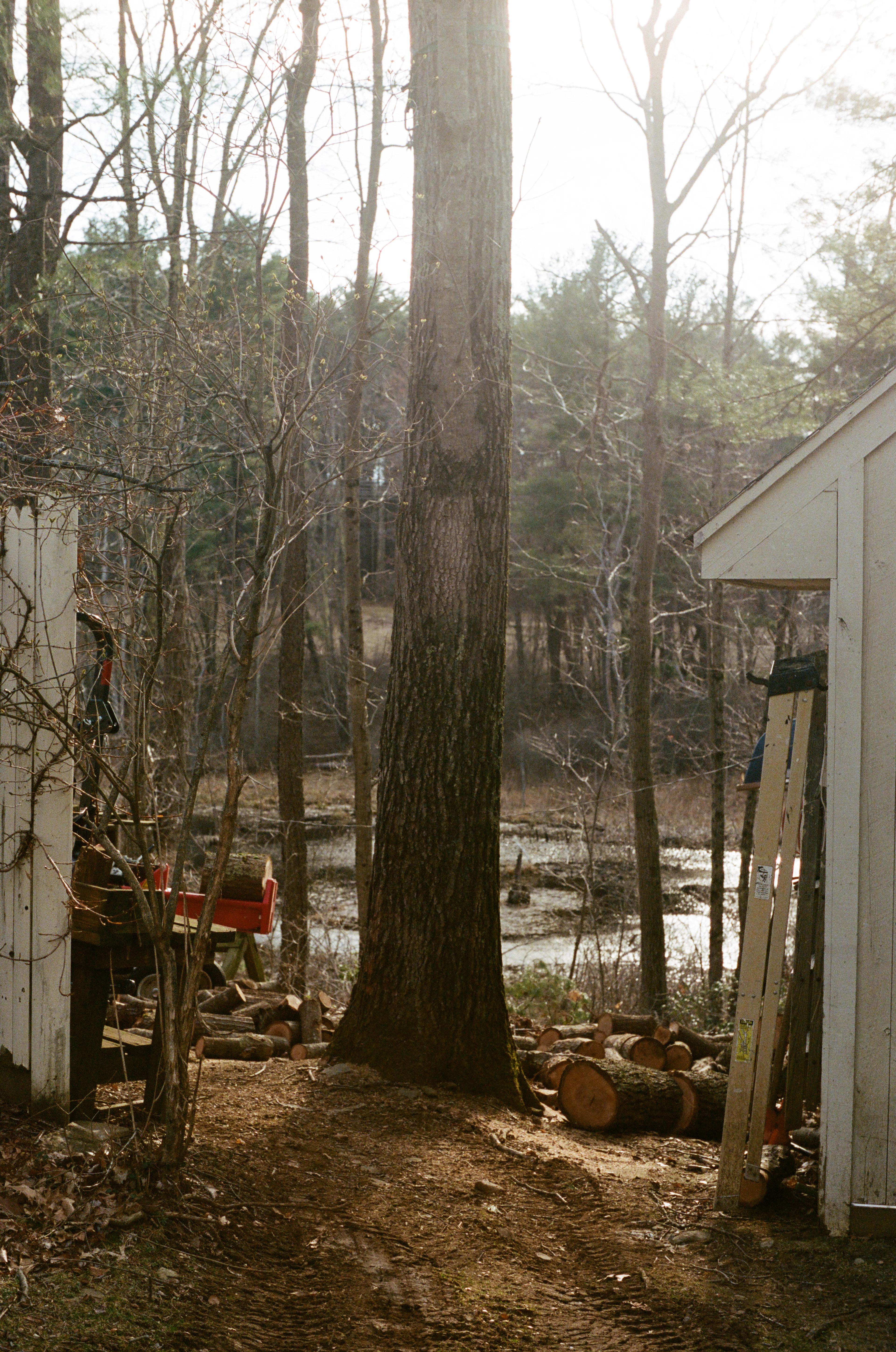 Workshop Sheds