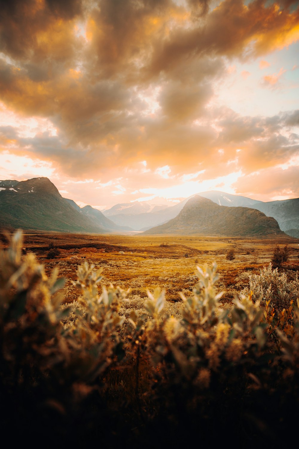 brown grass field near mountains during daytime