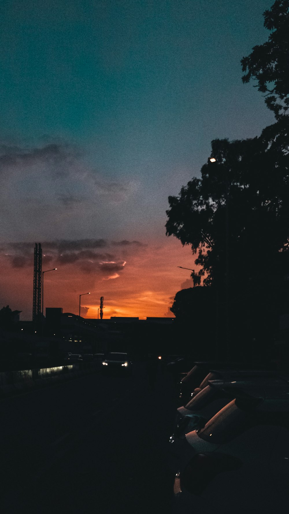 silhouette of trees during sunset