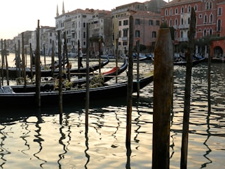 Numerous gondolas are docked along a canal with wooden poles emerging from the water. The buildings lining the canal have distinct Venetian architecture with arched windows and colorful facades. The water reflects the soft light of the sky, creating a peaceful atmosphere.