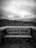 A weathered wooden bench with graffiti reading 'Luv Each Other' is set against a backdrop of overcast skies and grassy dunes. The scene conveys a sense of solitude and contemplation.