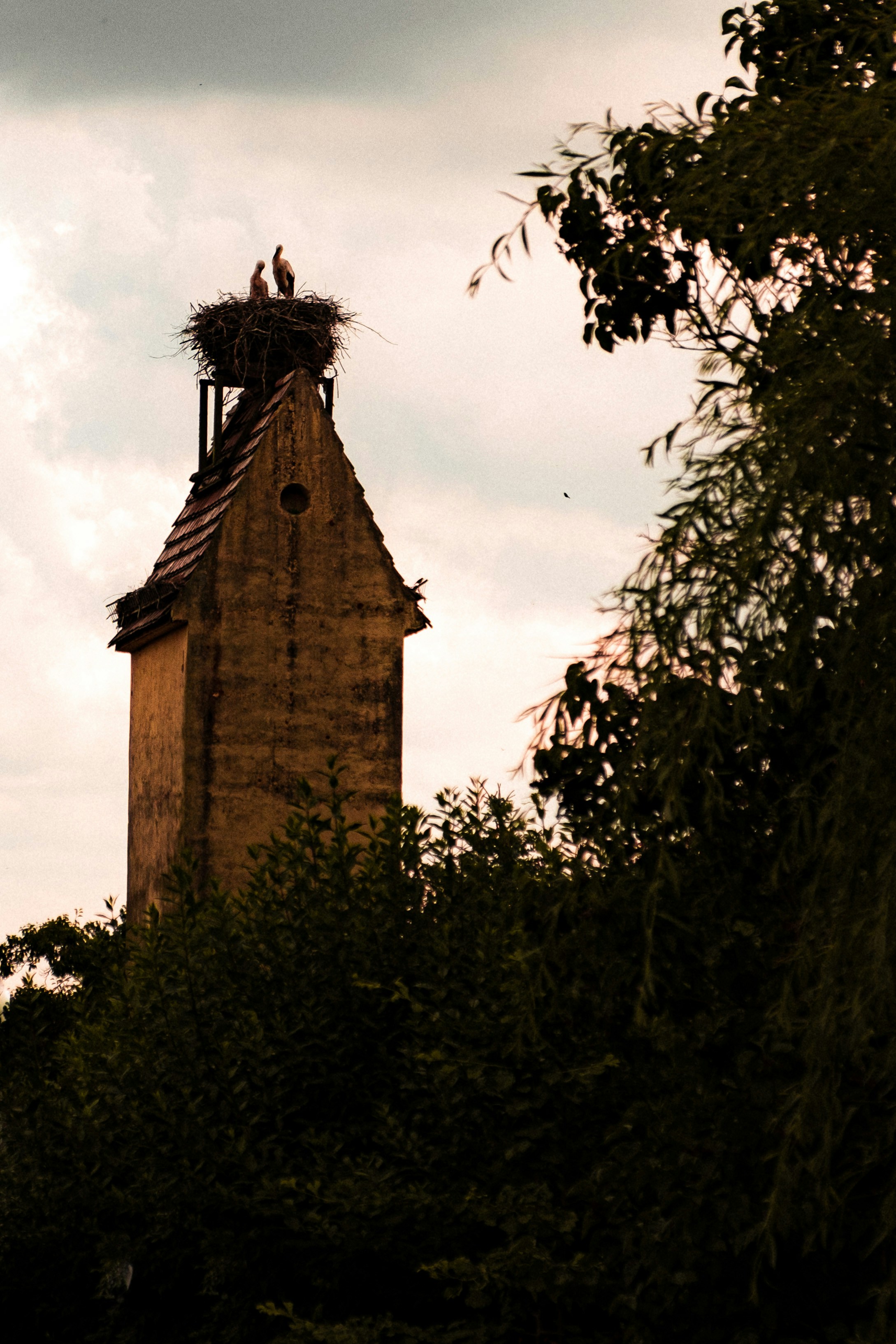 Photo by moritz_photography