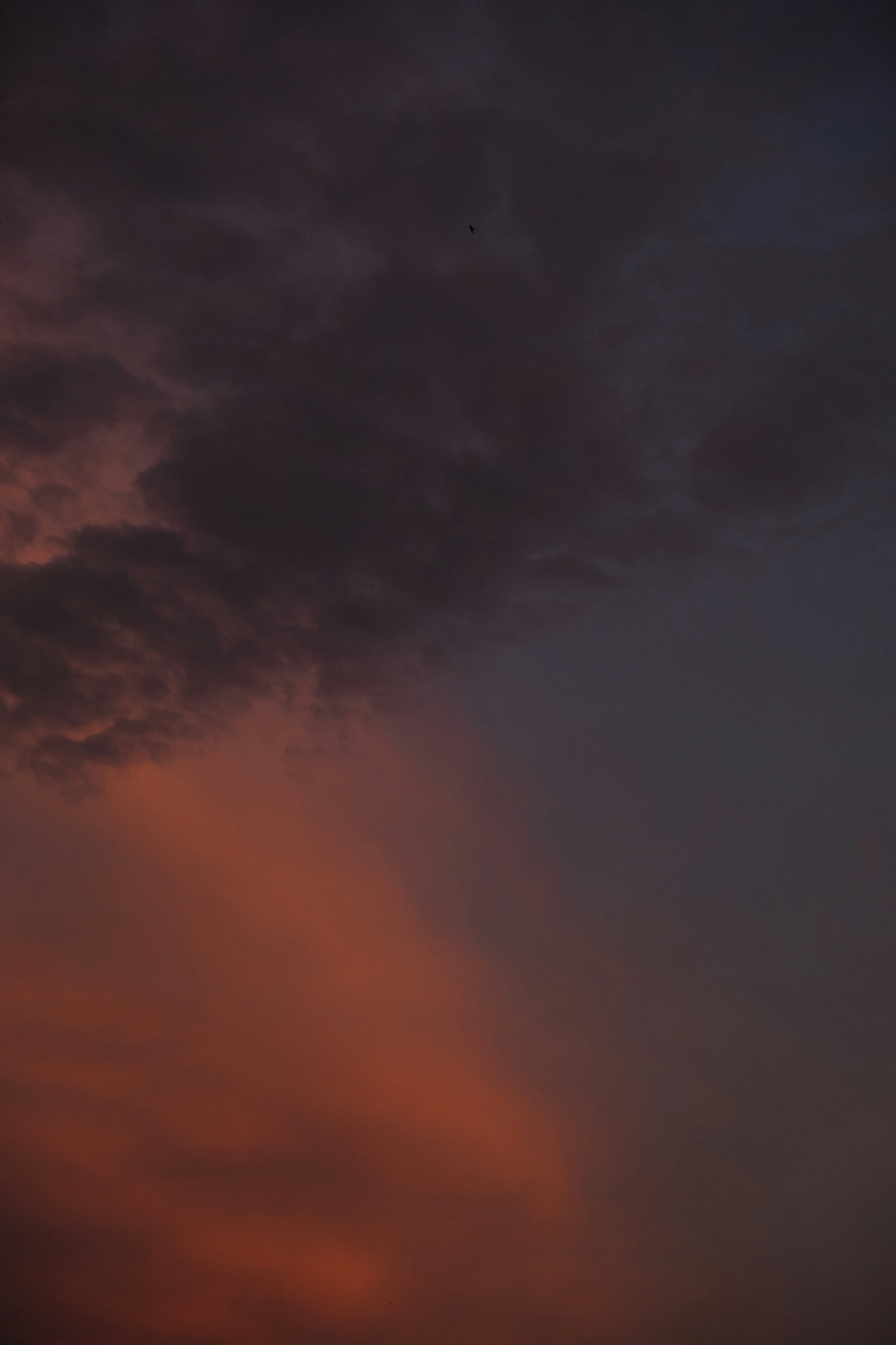 Photo by moritz_photography