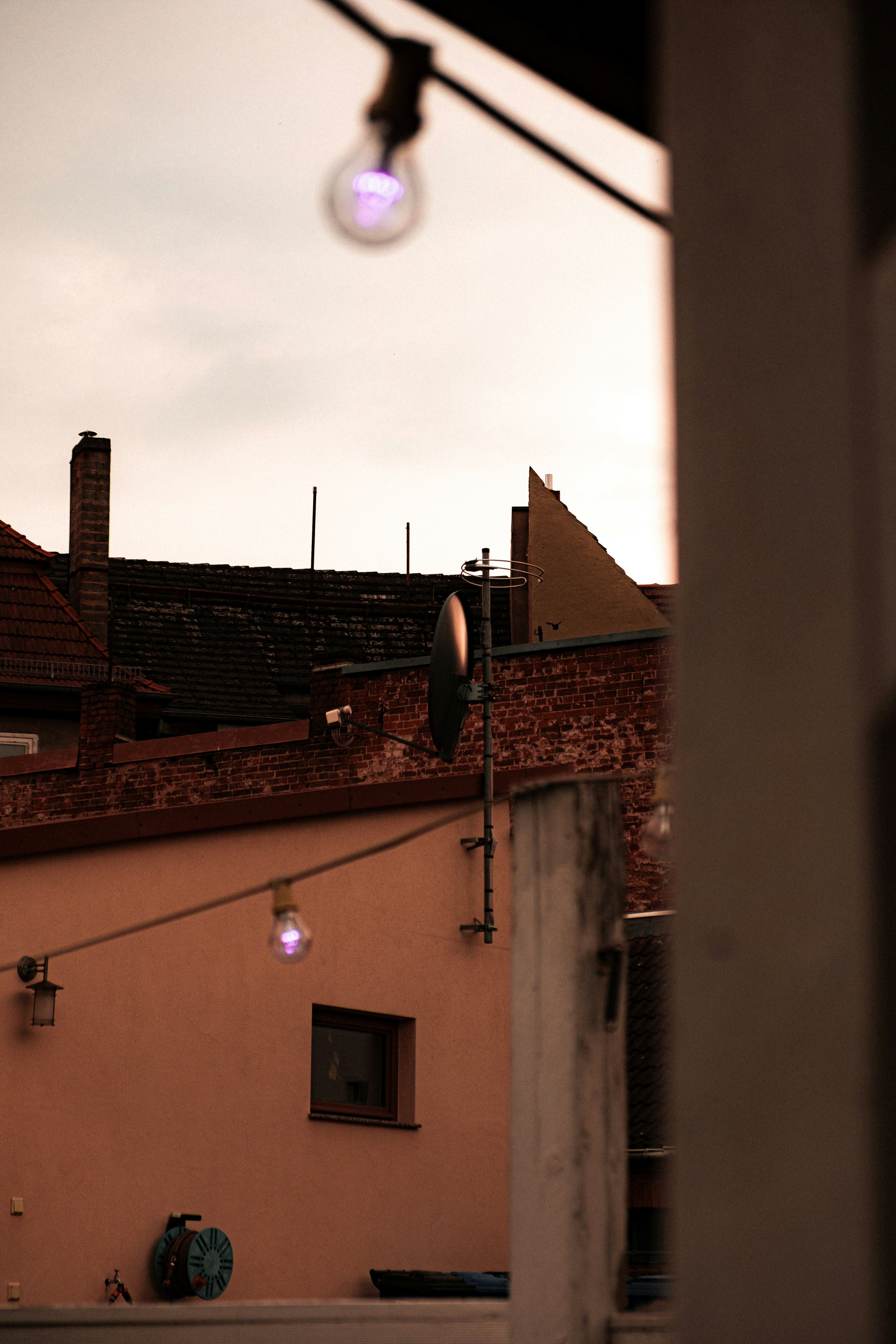 Photo by moritz_photography