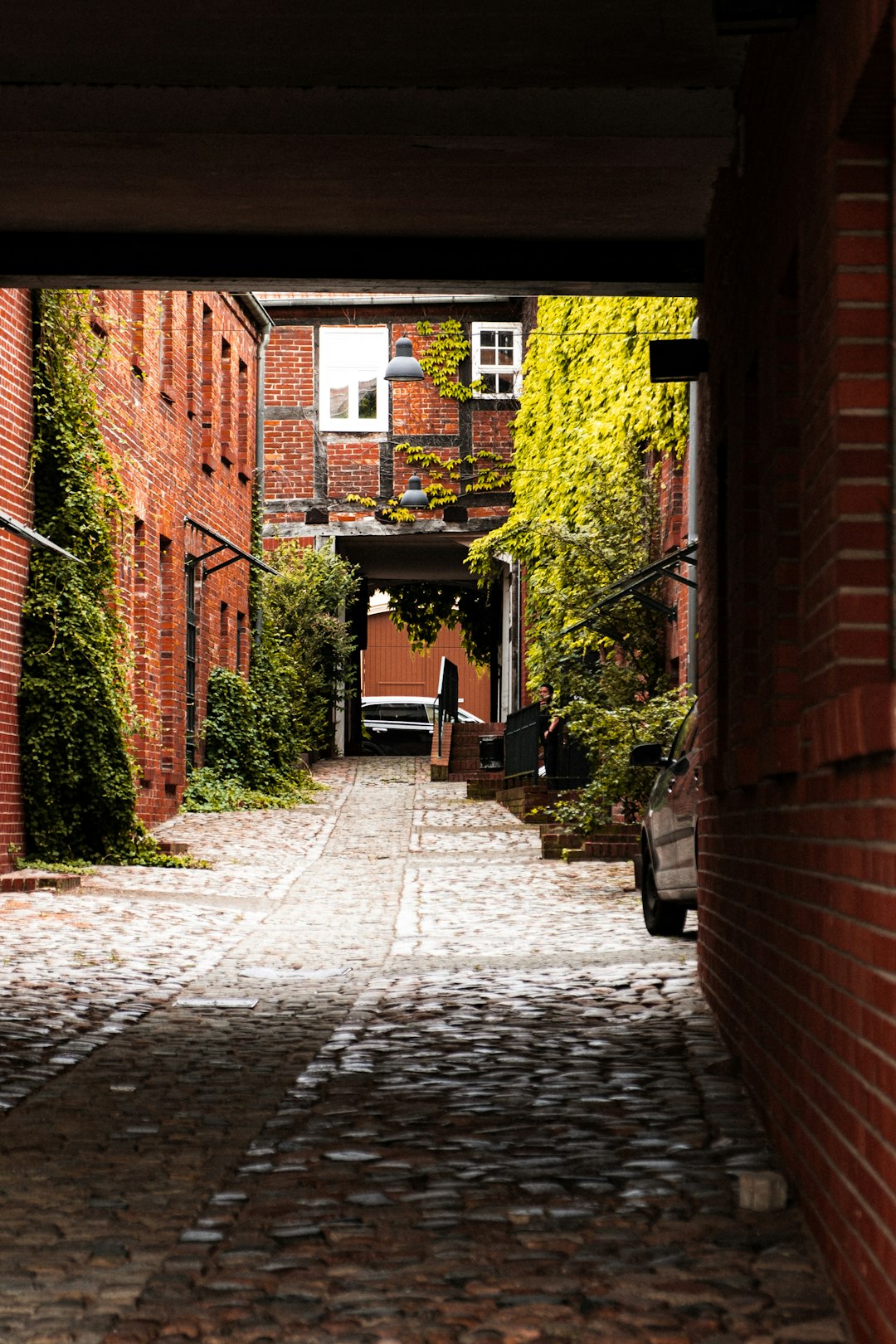 brown brick wall with green plants