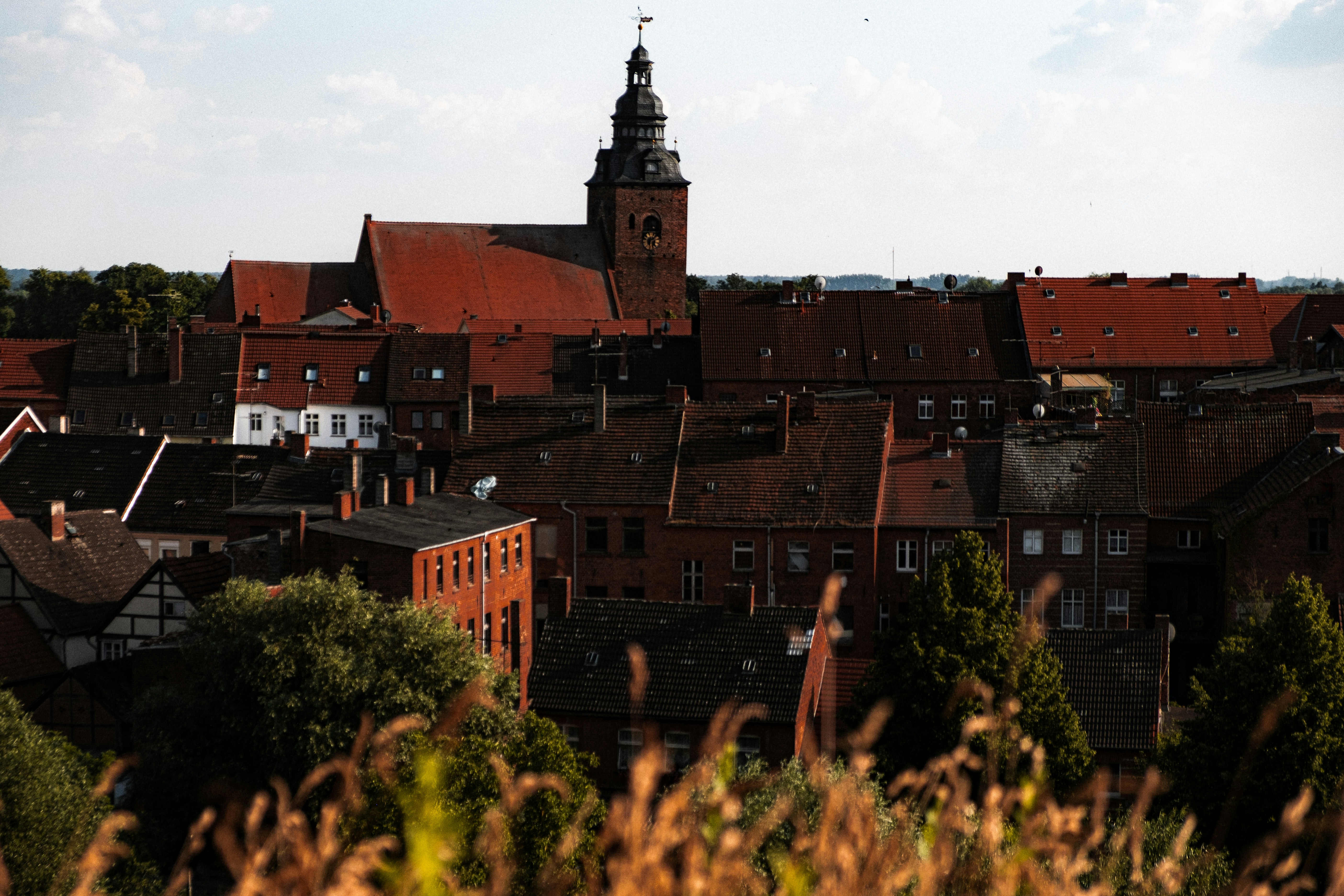 Image by Moritz Kindler via Unsplash