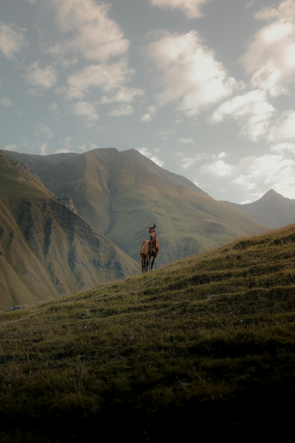 Persona in piedi sul campo di erba verde vicino alla montagna marrone sotto nuvole bianche durante il giorno